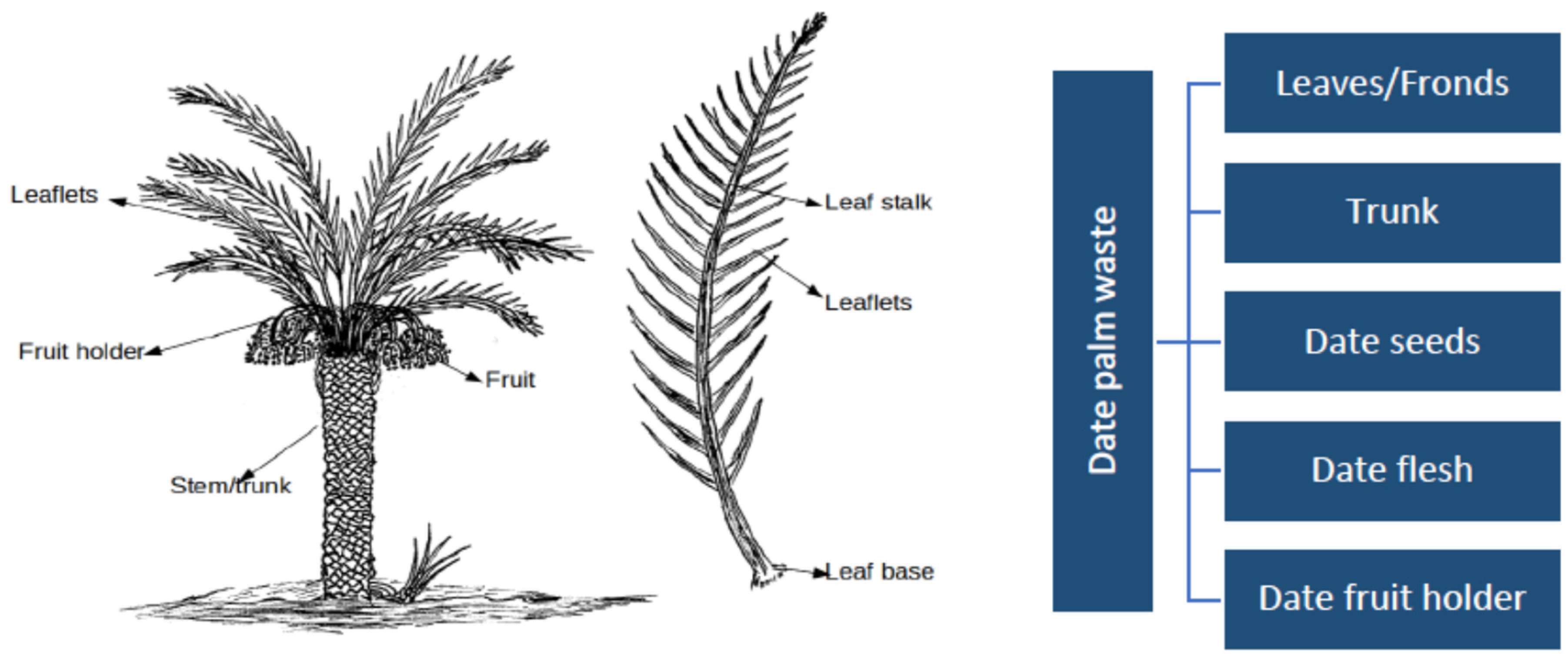 Soilsystems 08 00069 g001 Soilsystems 08 00069 g001