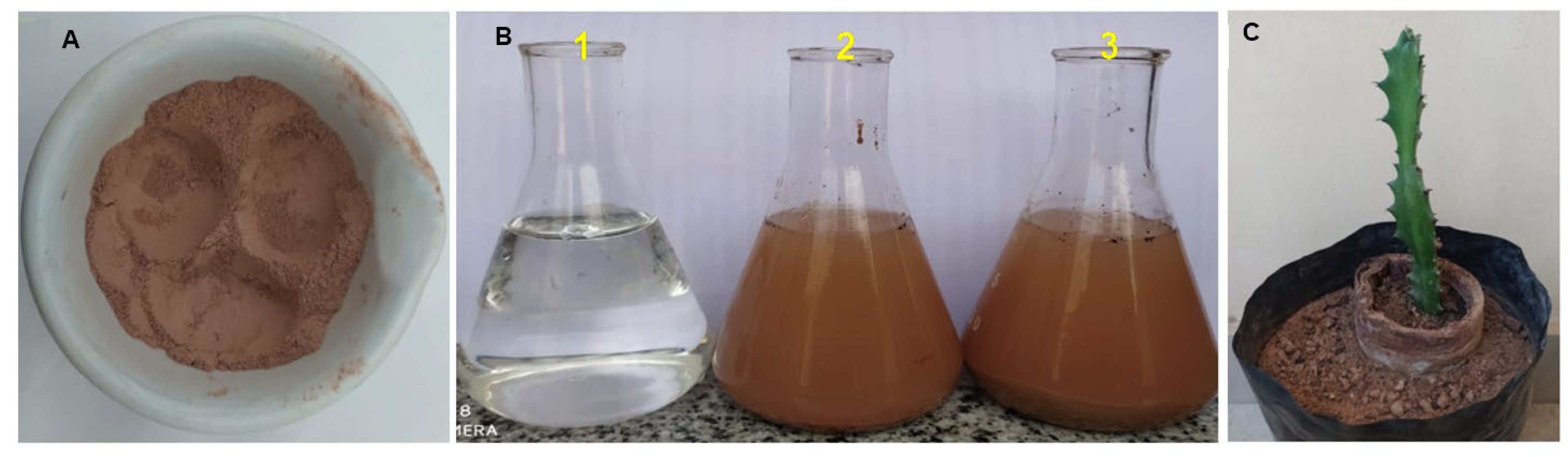 Soilsystems 08 00073 g004