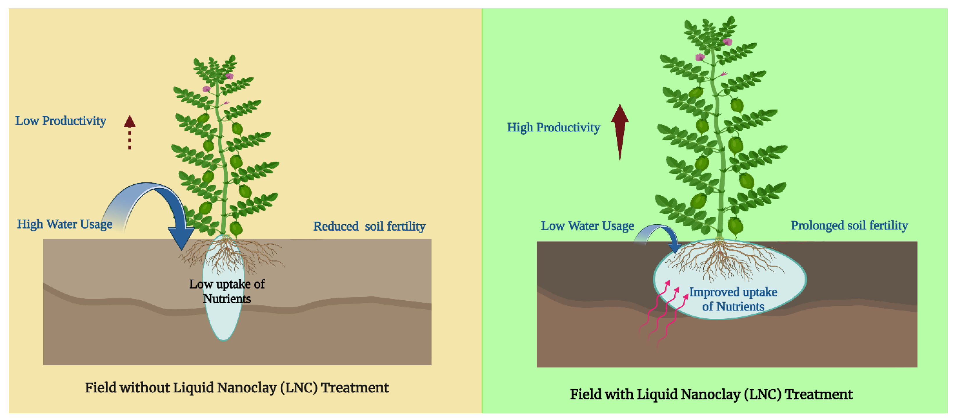 Soilsystems 08 00073 g005
