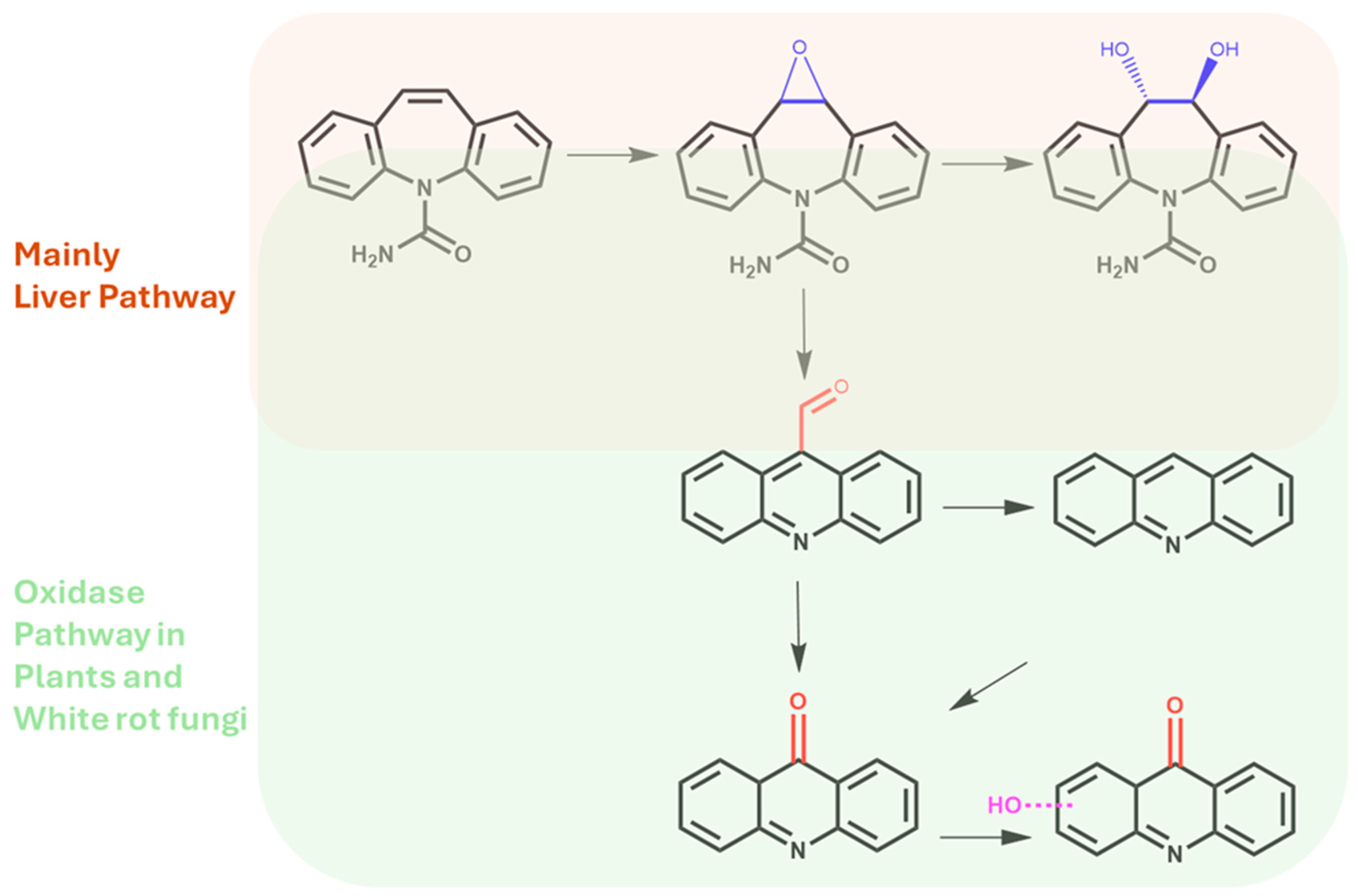 Soilsystems 08 00083 g008
