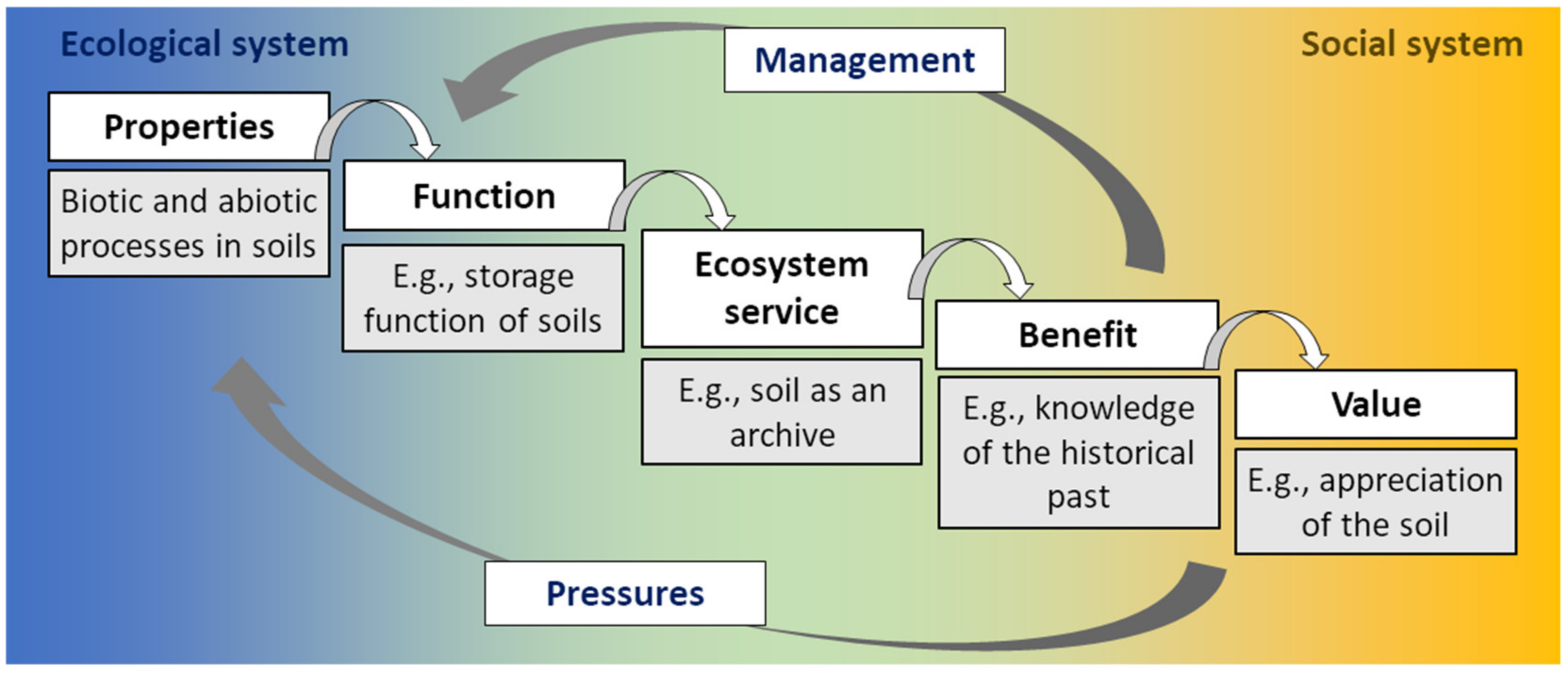 Soilsystems 08 00097 g001