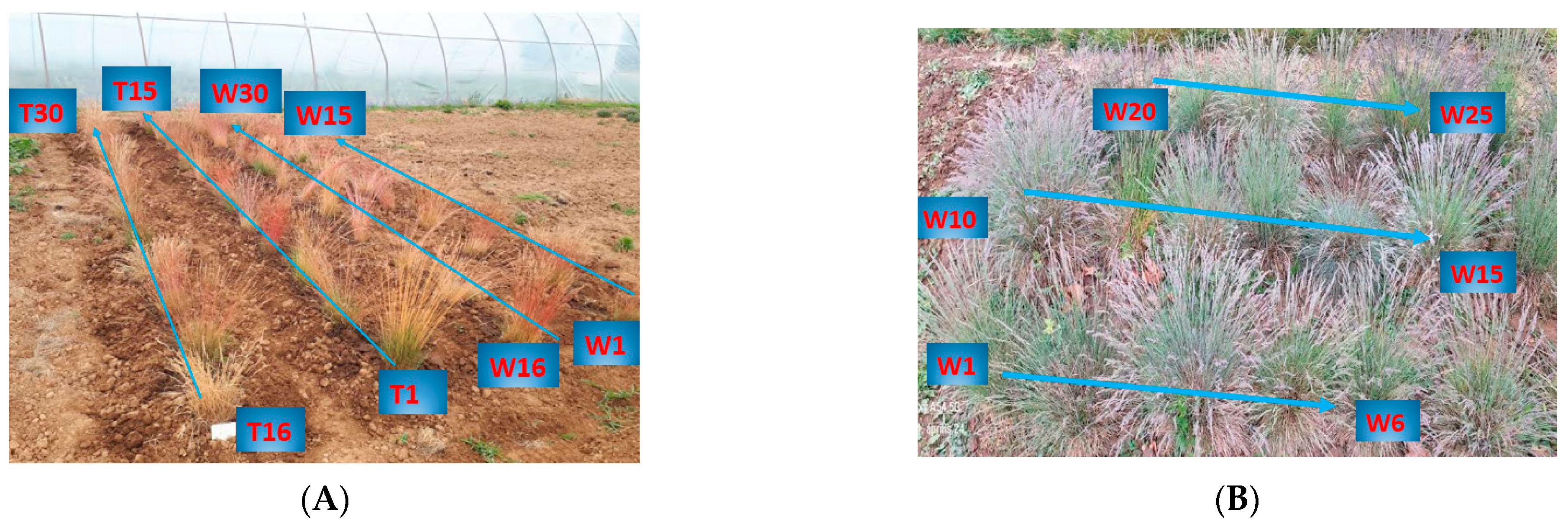 Soilsystems 08 00099 g001 Soilsystems 08 00099 g001