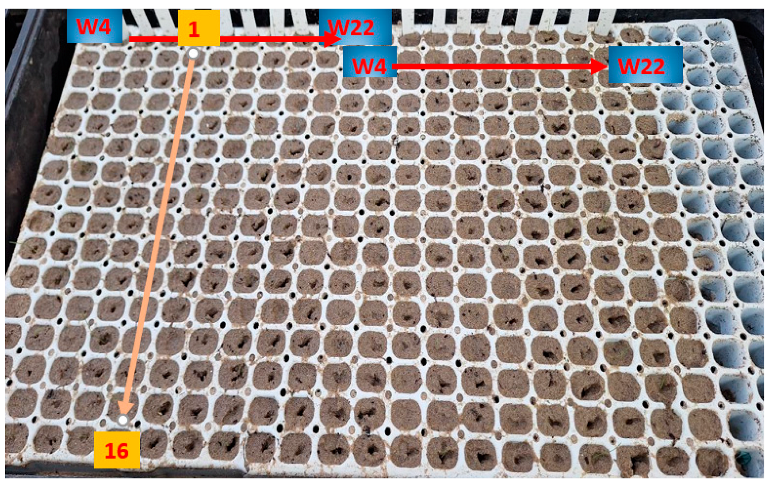 Soilsystems 08 00099 g002 Soilsystems 08 00099 g002
