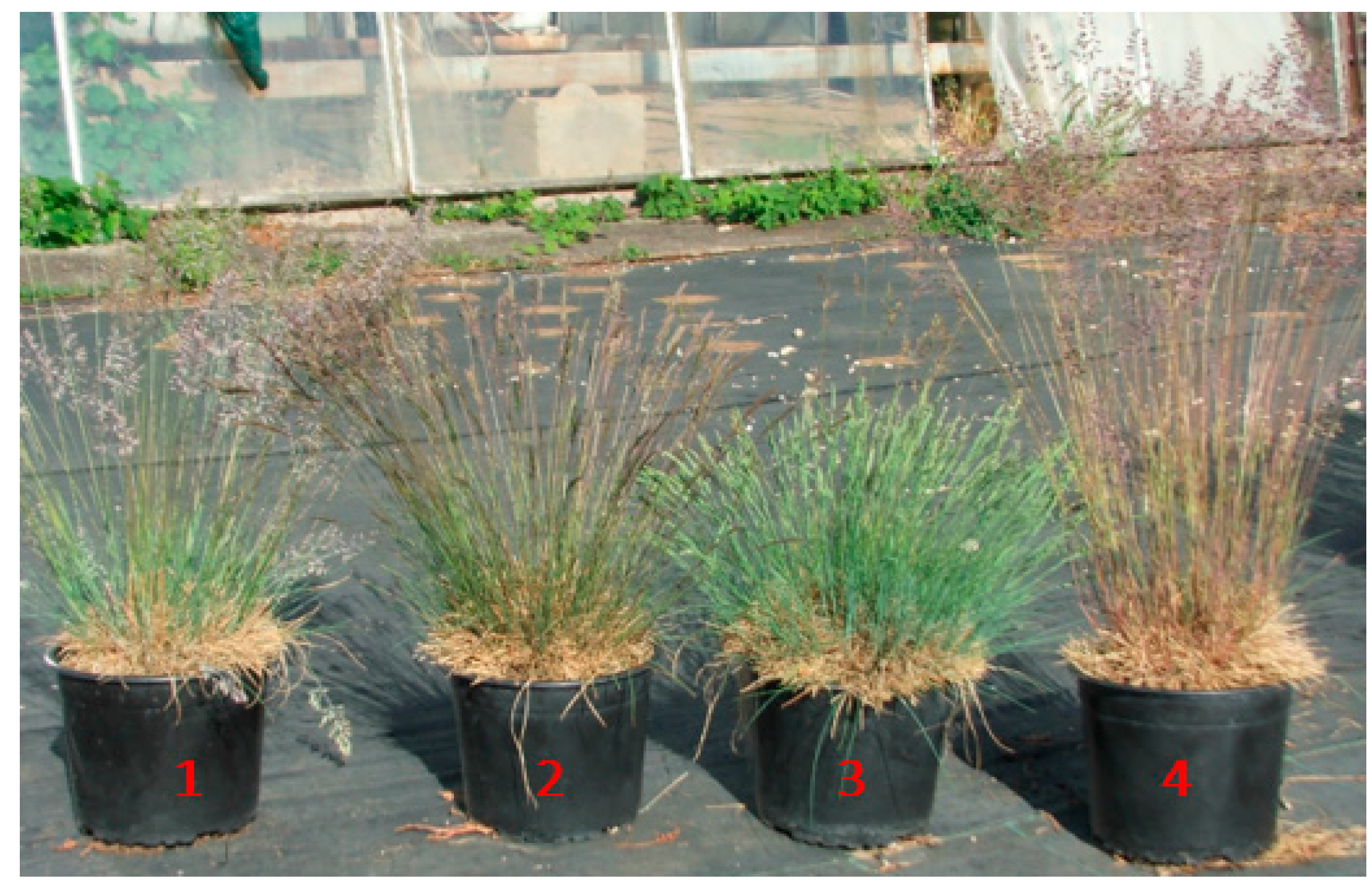 Soilsystems 08 00099 g003 Soilsystems 08 00099 g003