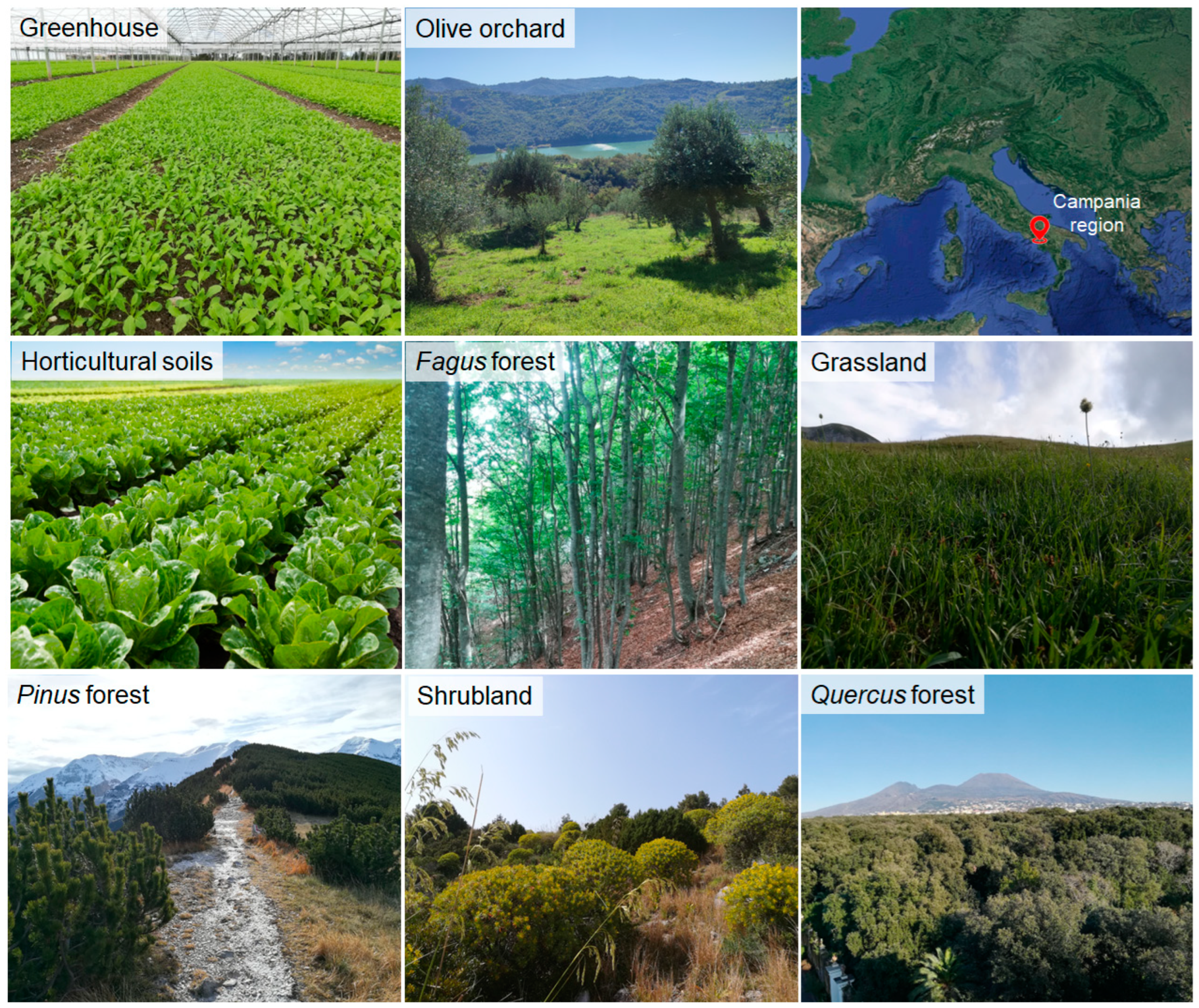 Soilsystems 08 00131 g001