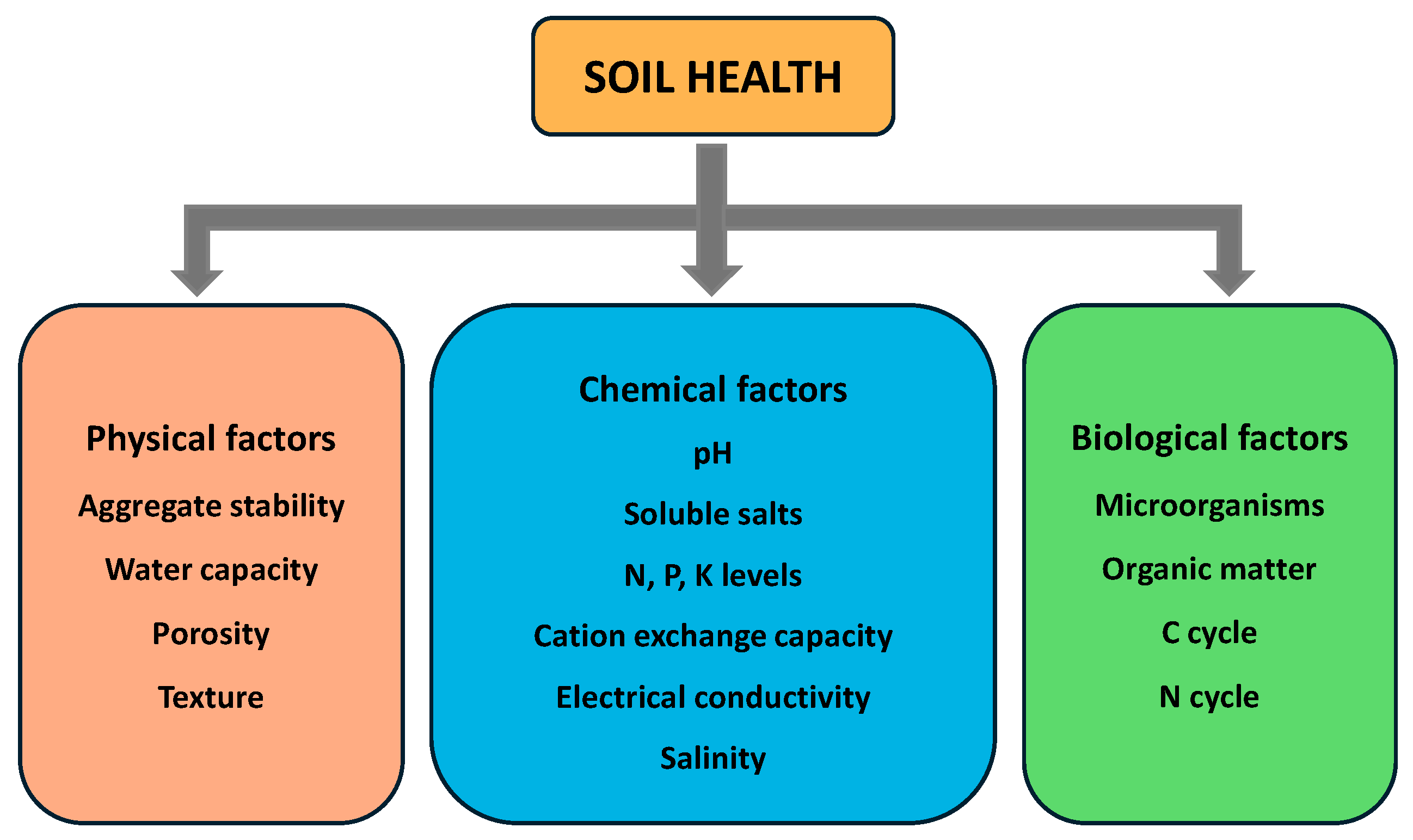 Soilsystems 09 00002 g001