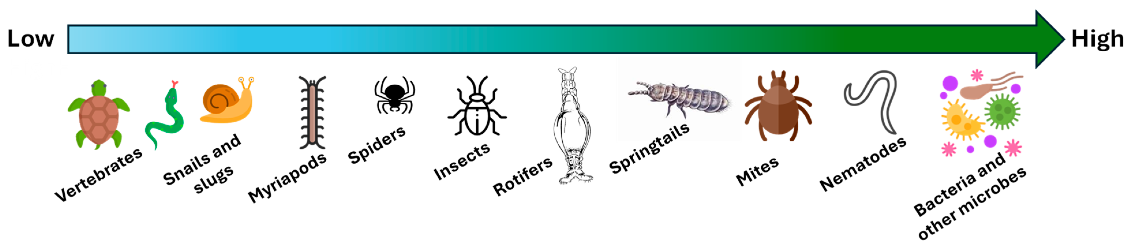 Soilsystems 09 00002 g003