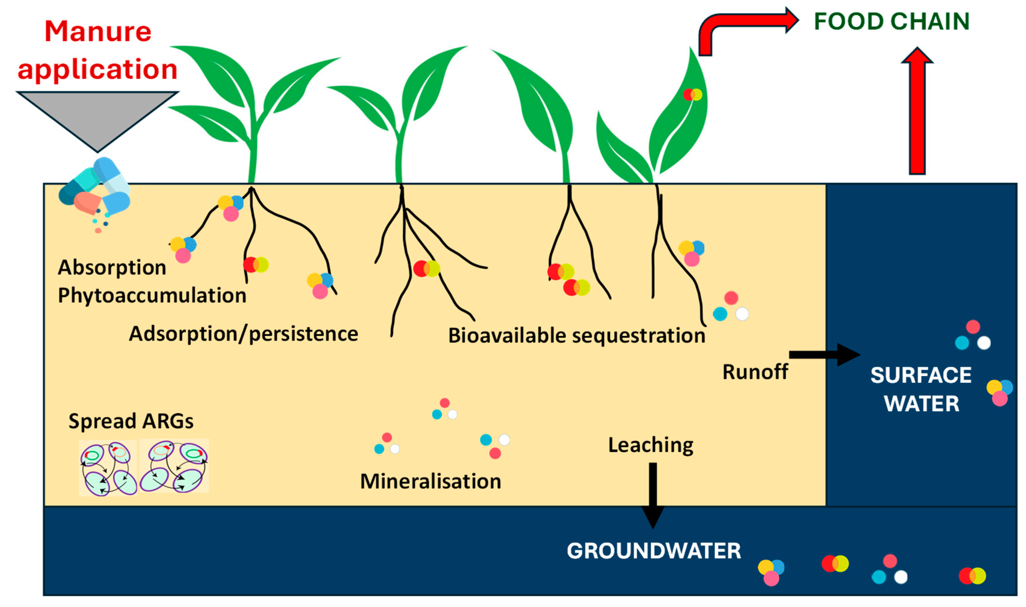 Soilsystems 09 00002 g005