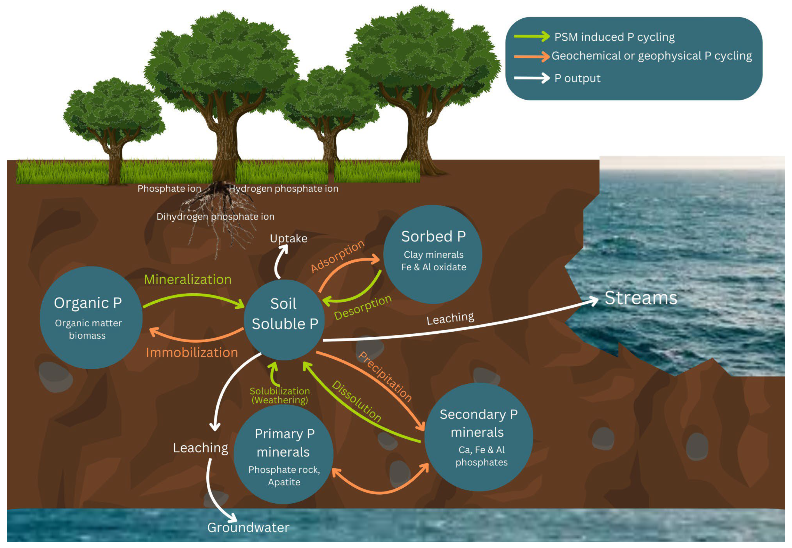 Soilsystems 09 00006 g001