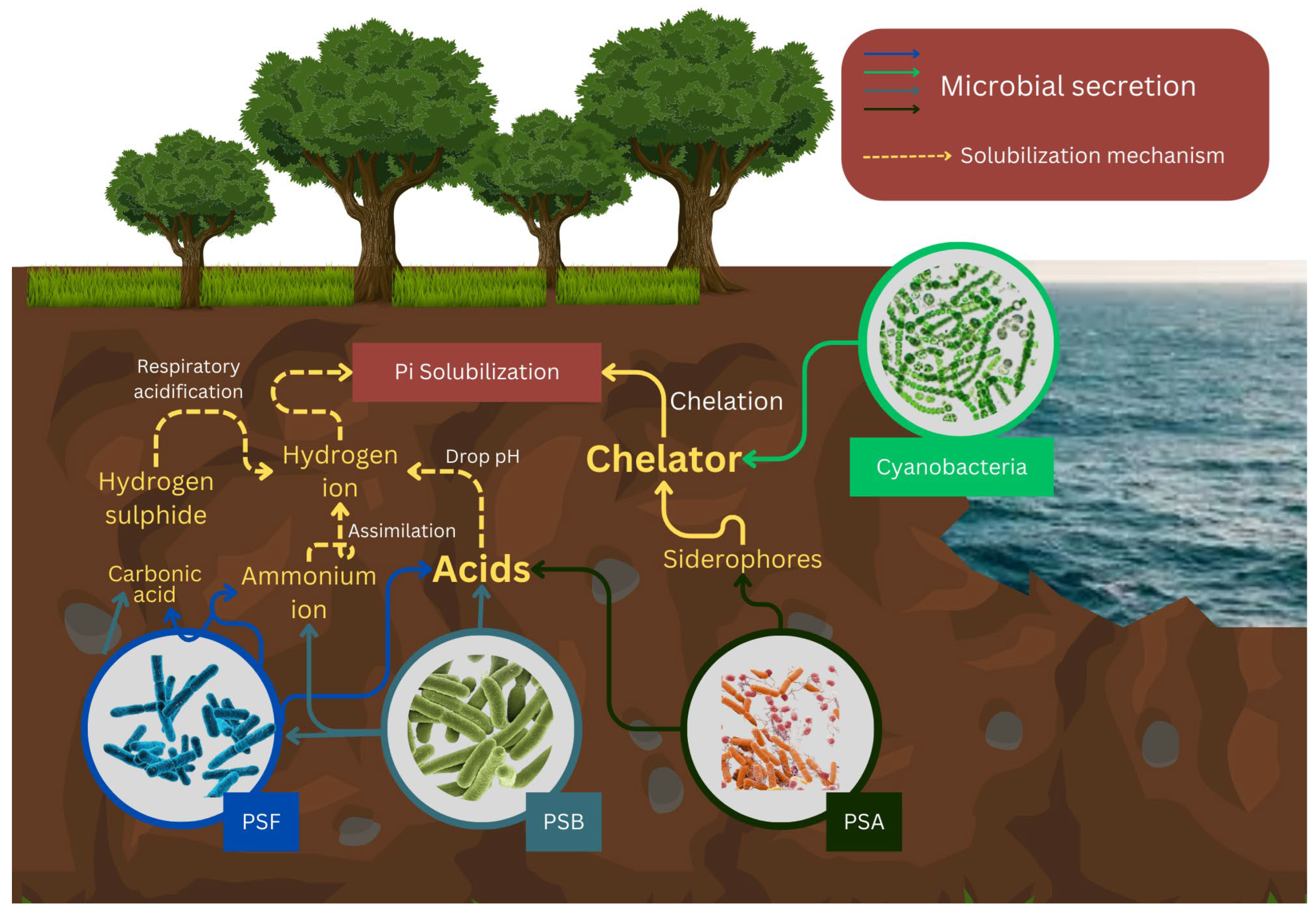 Soilsystems 09 00006 g002