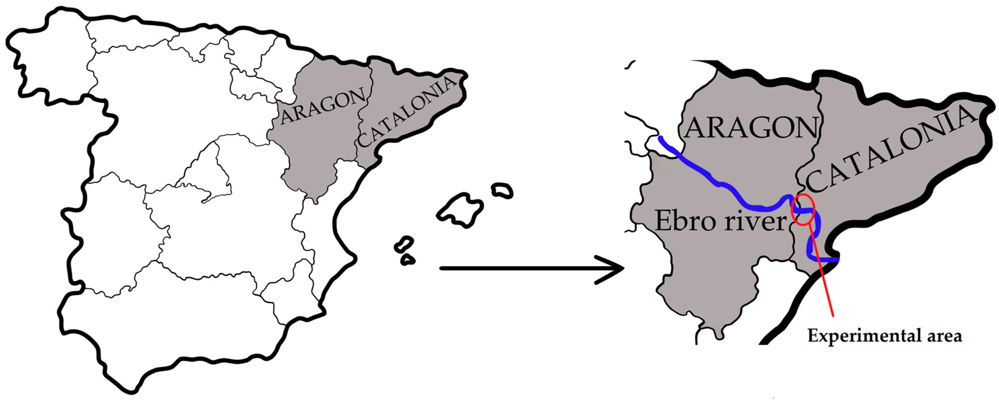 Soilsystems 09 00007 g001