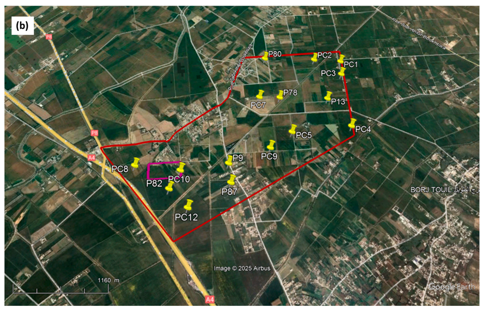 Soilsystems 09 00008 g001b