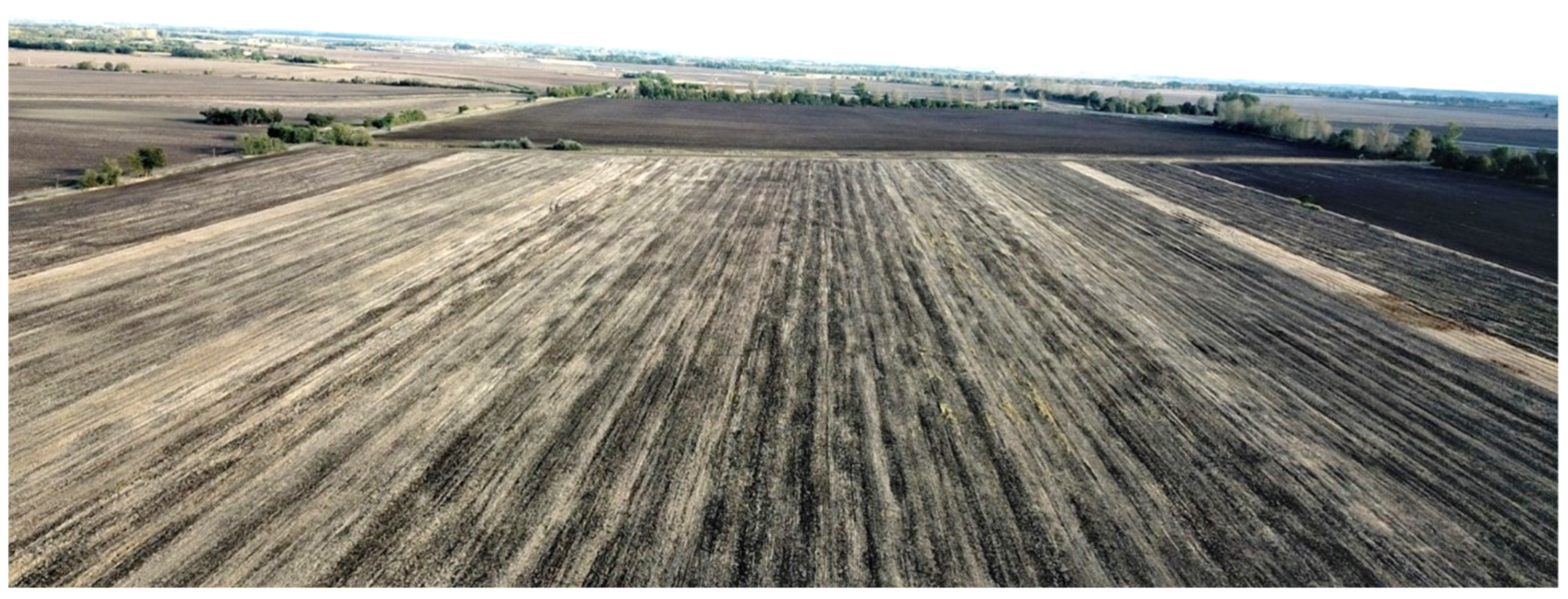 Soilsystems 09 00013 g001