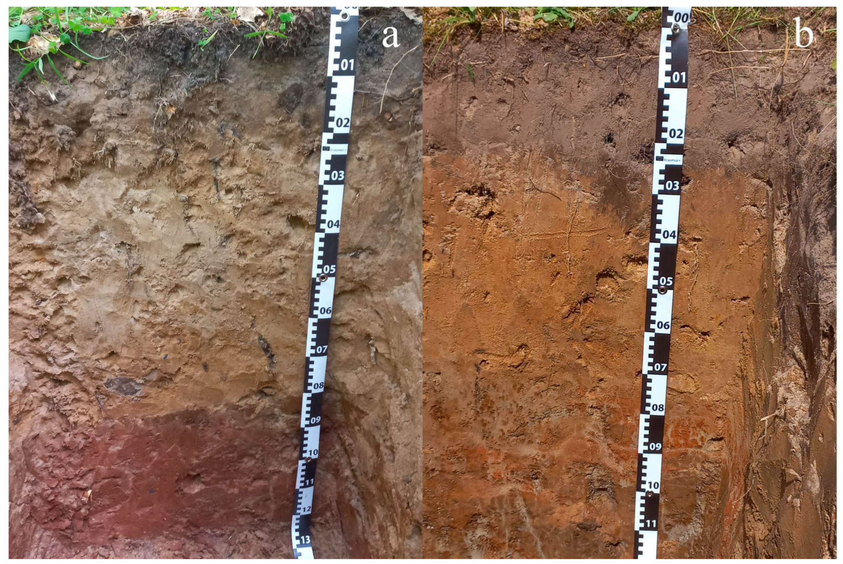 Soilsystems 09 00025 g001