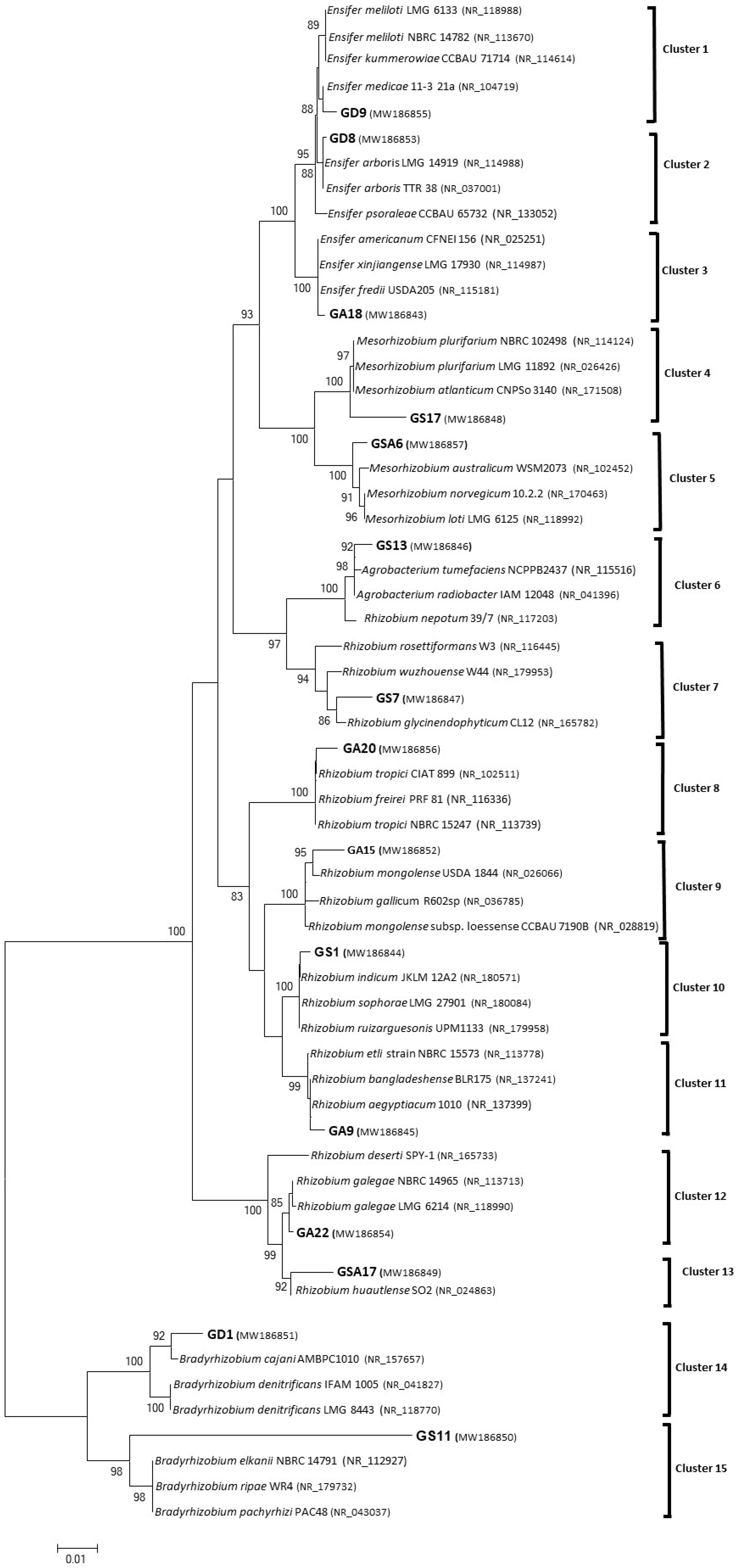 Soilsystems 09 00039 g002