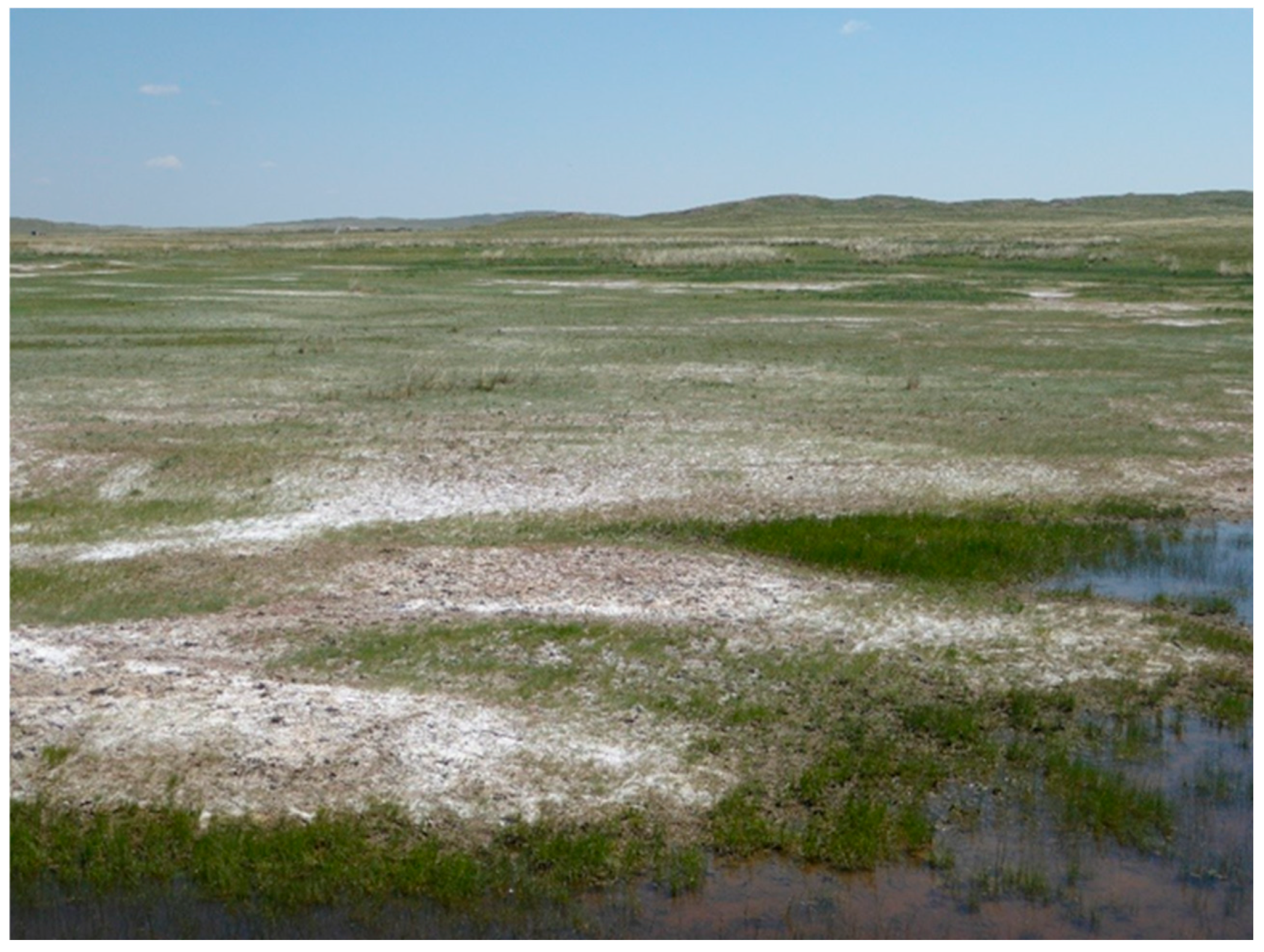 Soilsystems 09 00057 g002