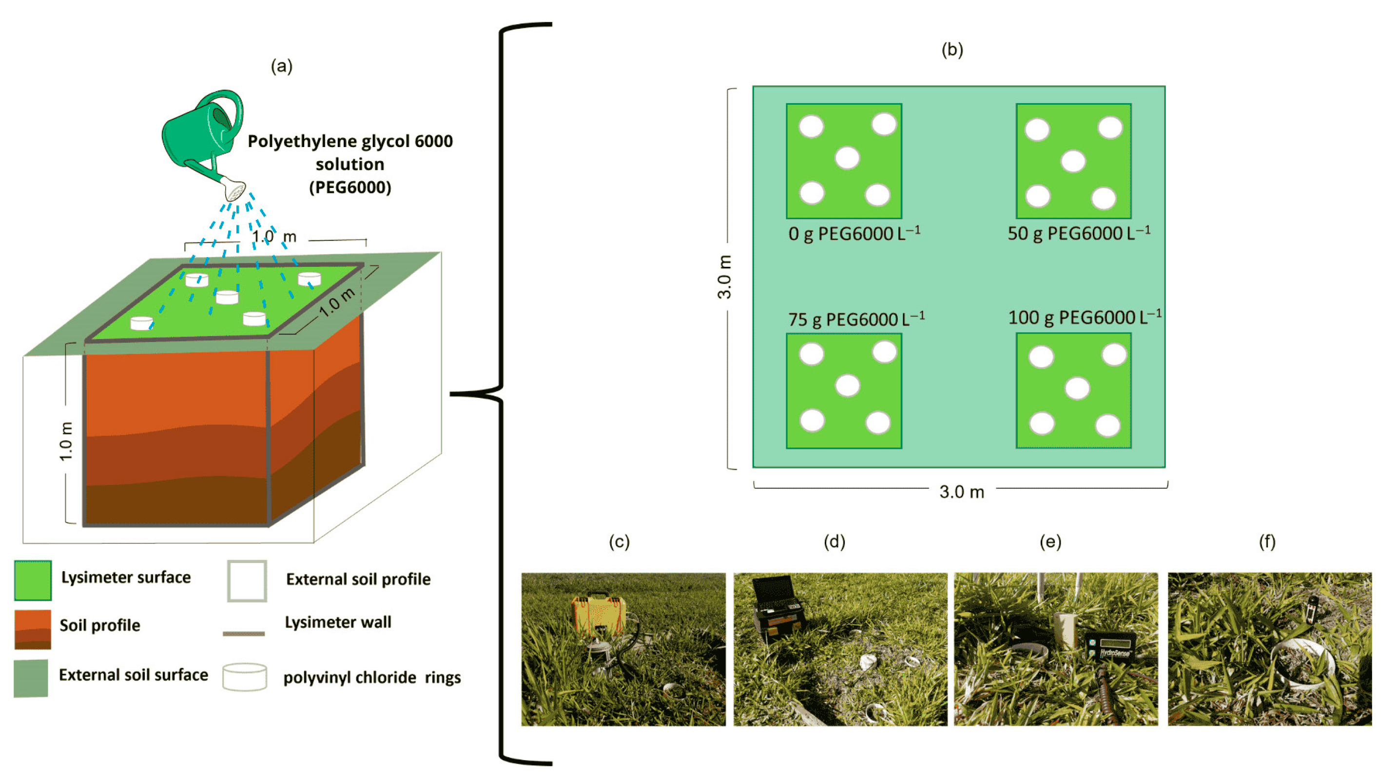 Soilsystems 09 00101 g001 Soilsystems 09 00101 g001