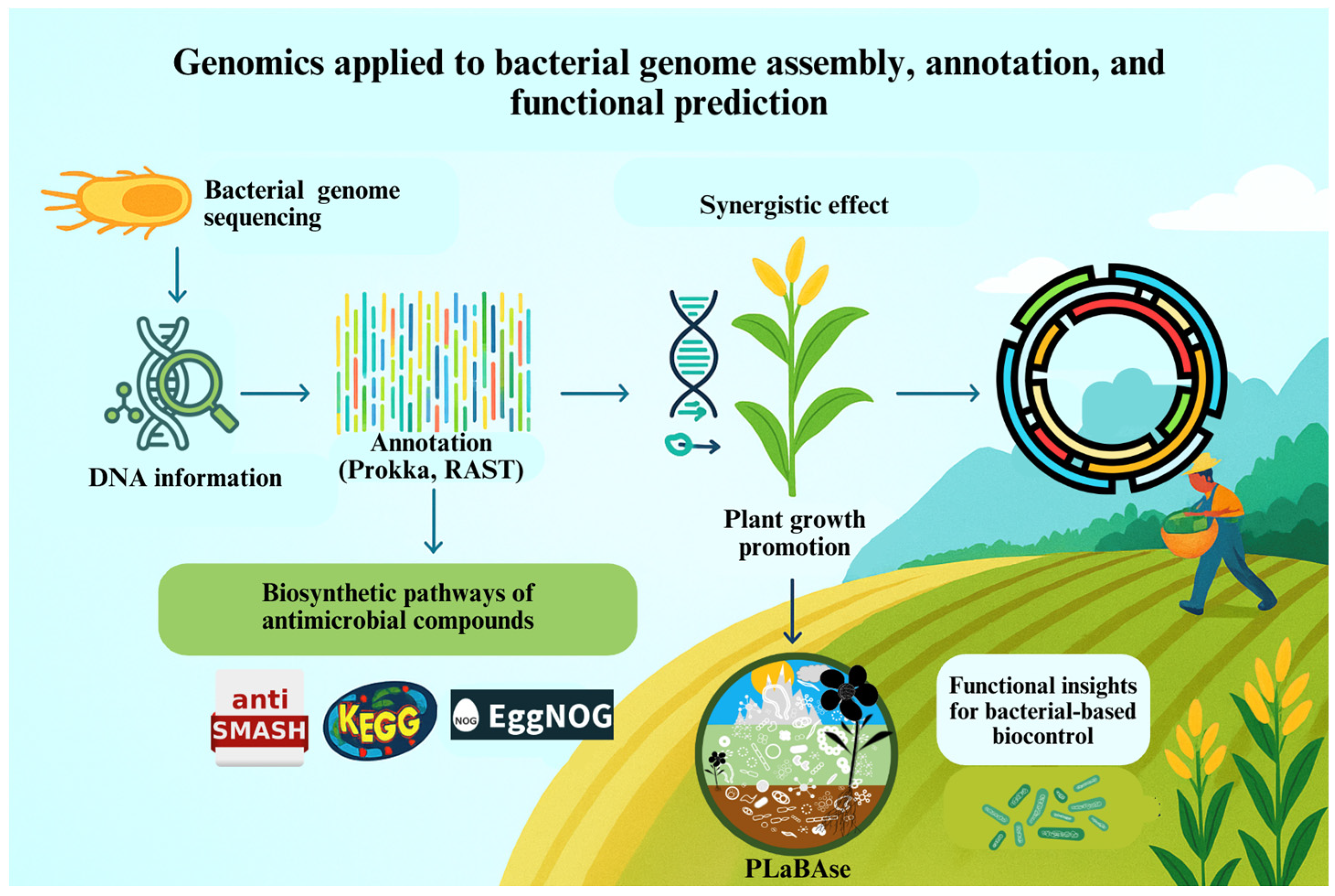 Soilsystems 09 00108 g001