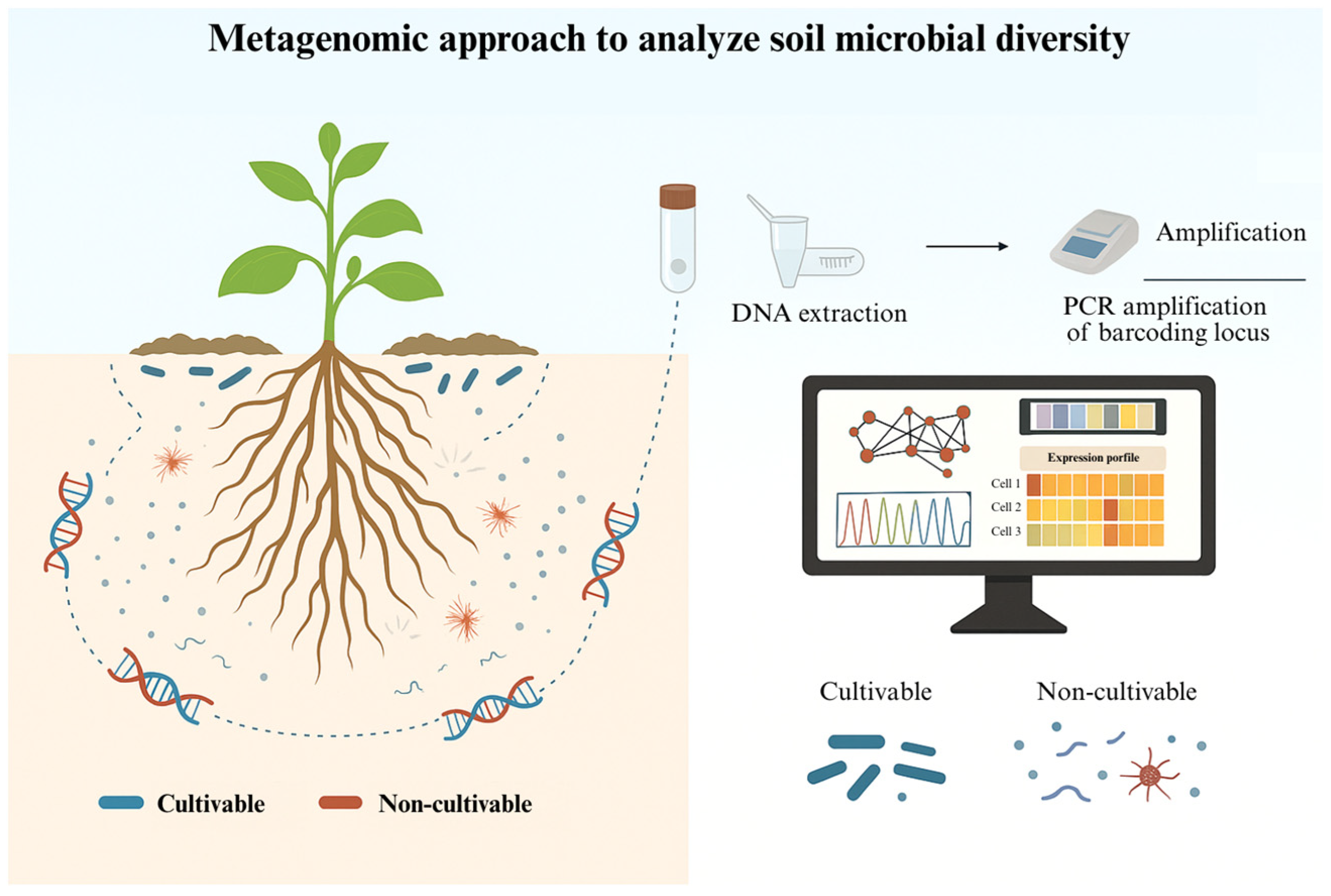 Soilsystems 09 00108 g002