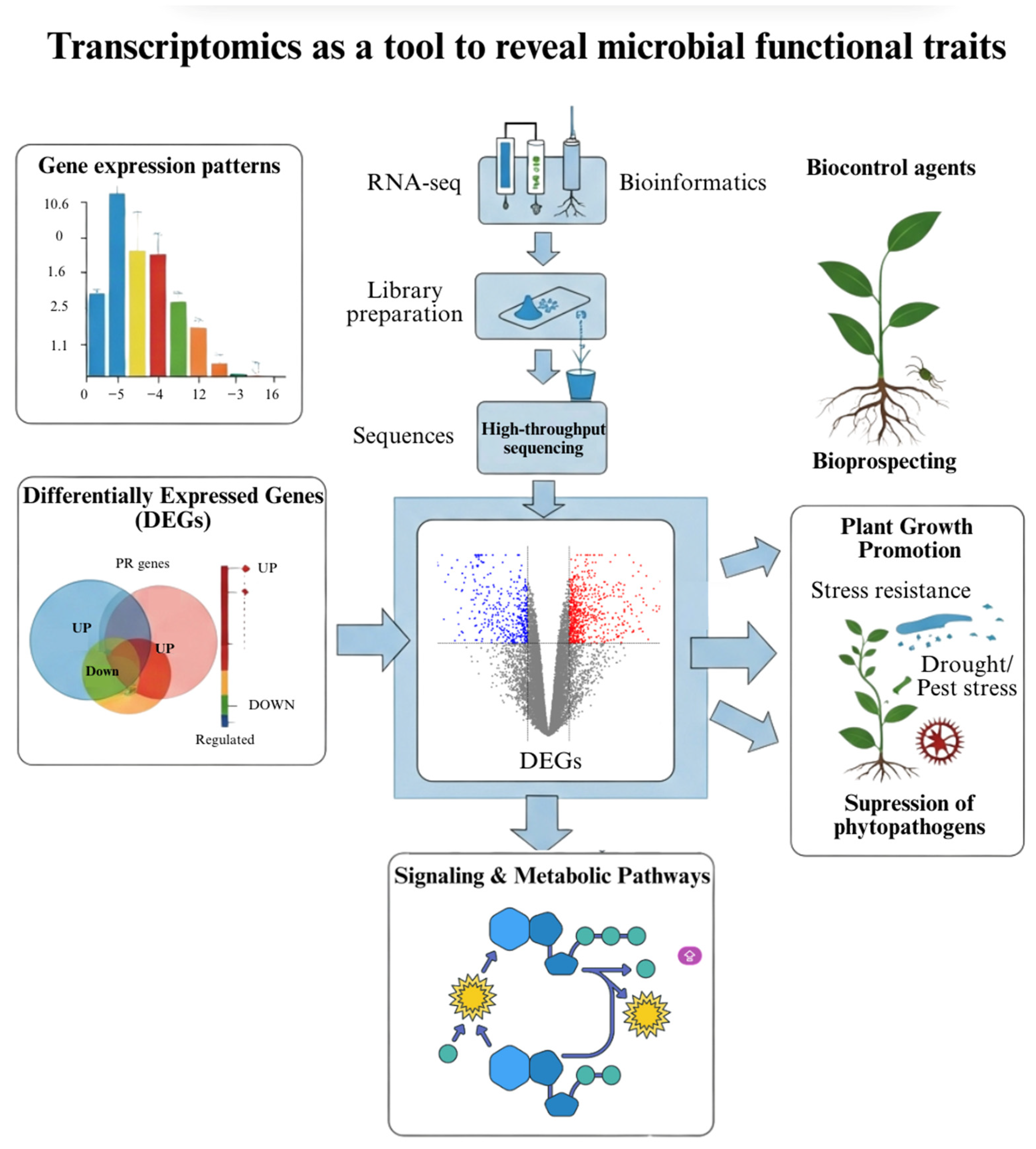 Soilsystems 09 00108 g003