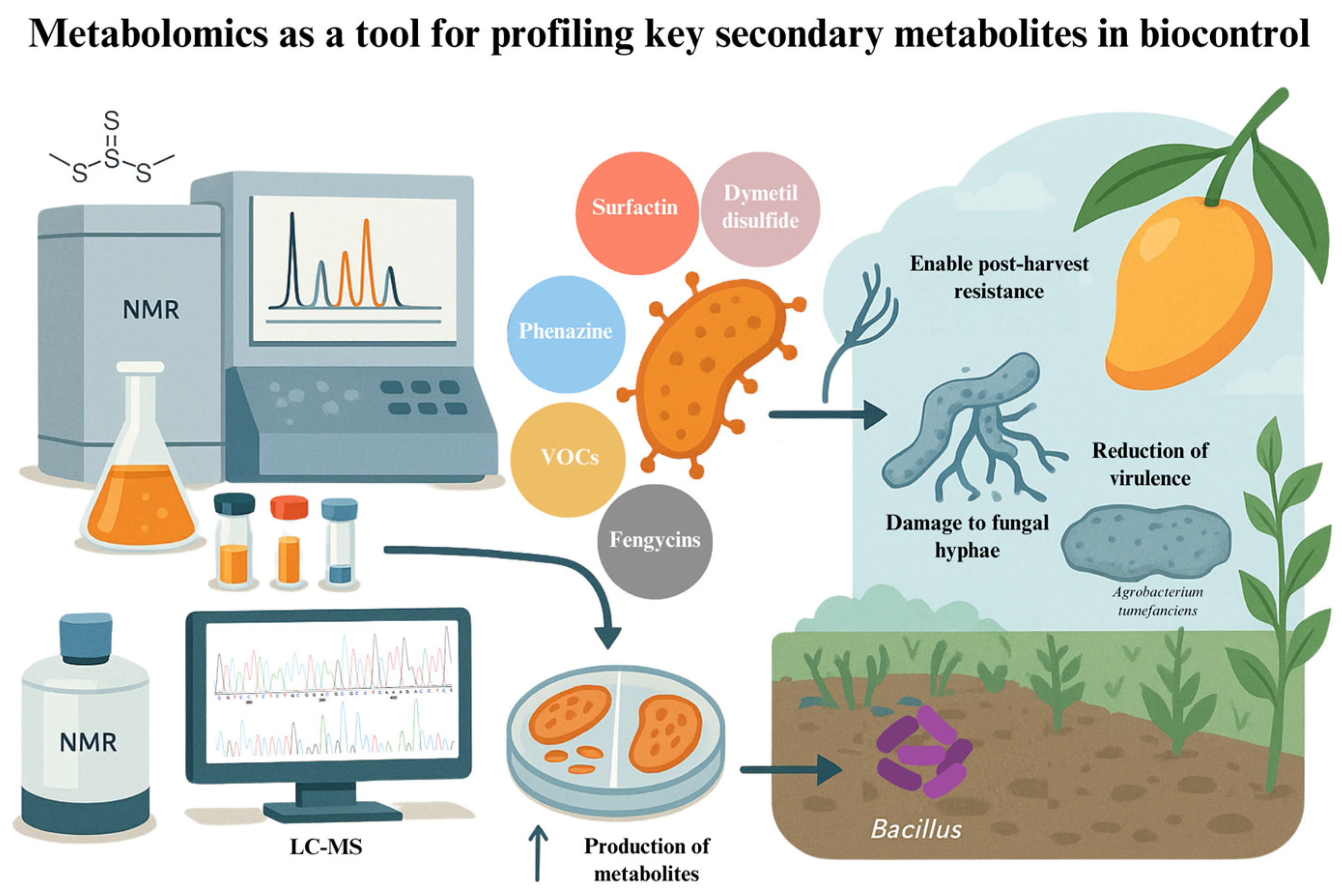 Soilsystems 09 00108 g004