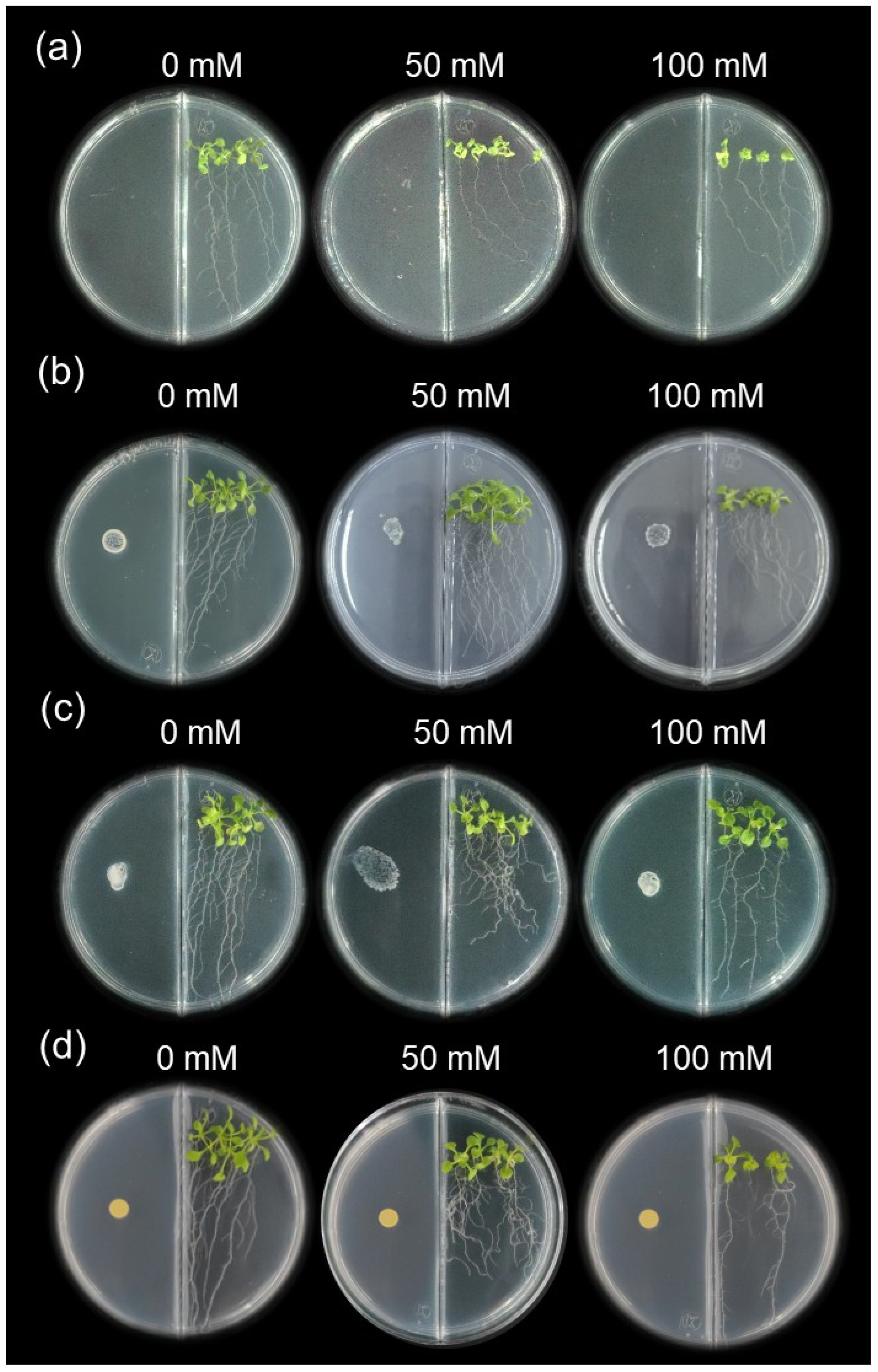 Soilsystems 09 00135 g002 Soilsystems 09 00135 g002
