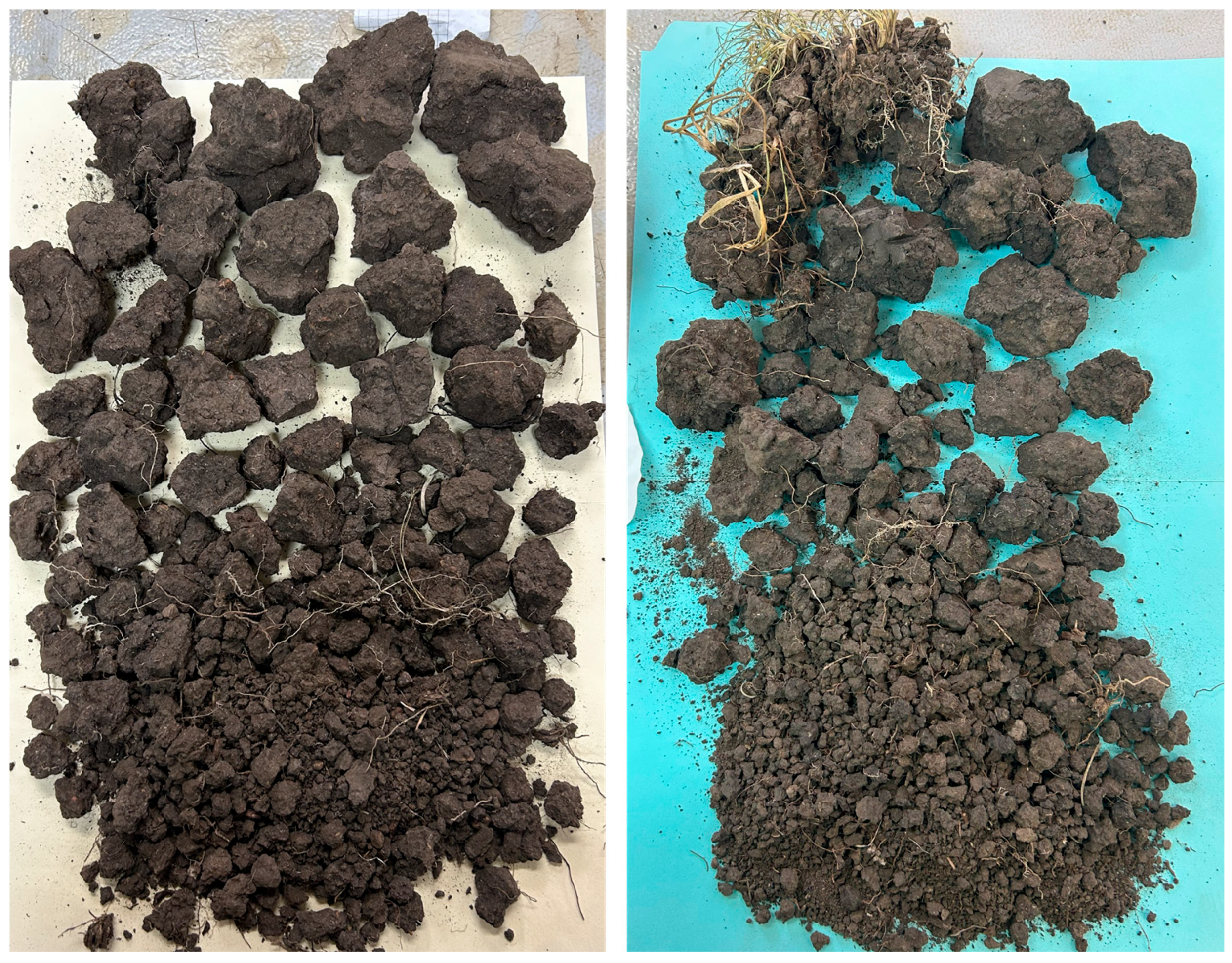 Soilsystems 10 00090 g002 Soilsystems 10 00090 g002