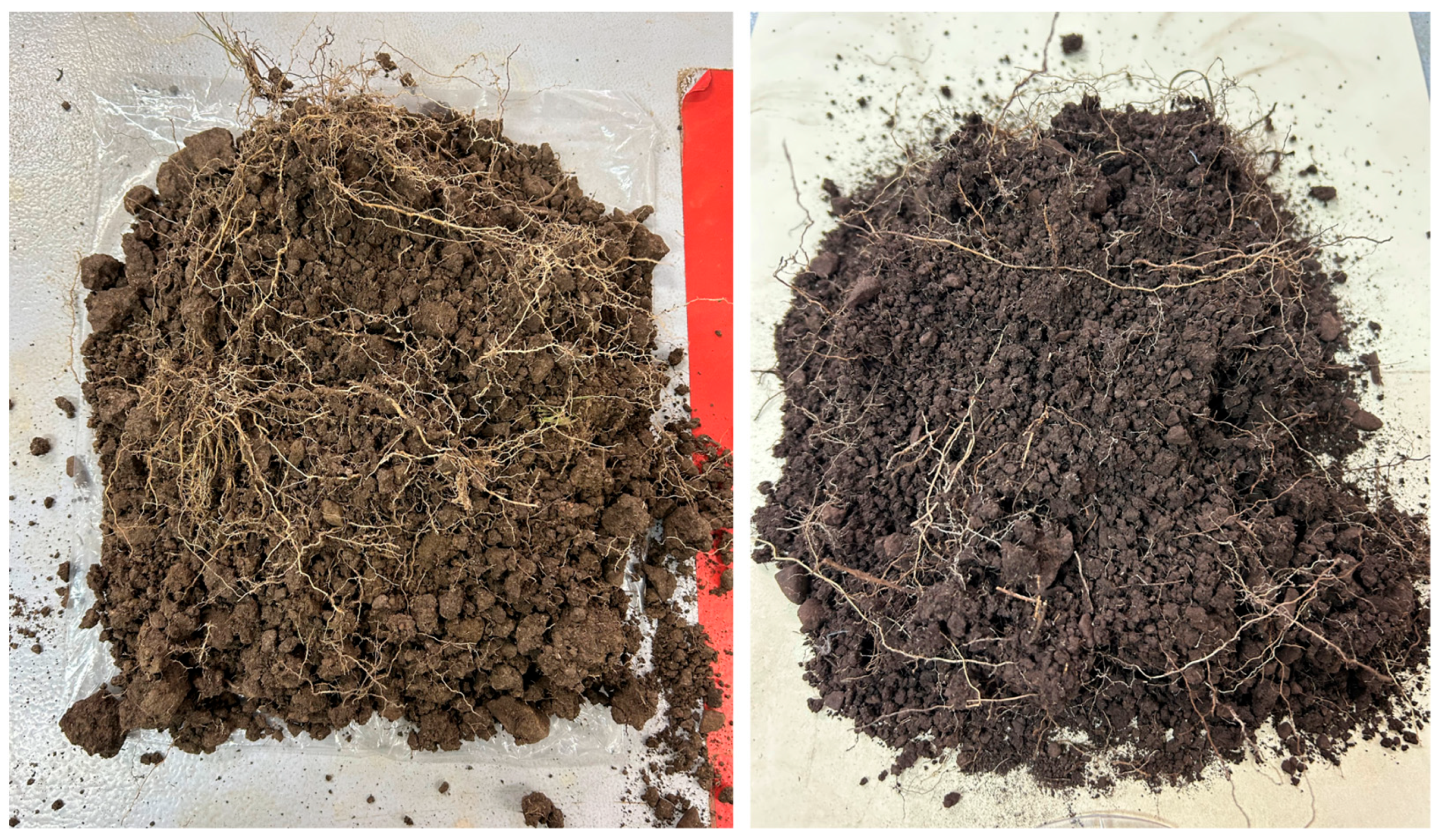 Soilsystems 10 00090 g006 Soilsystems 10 00090 g006
