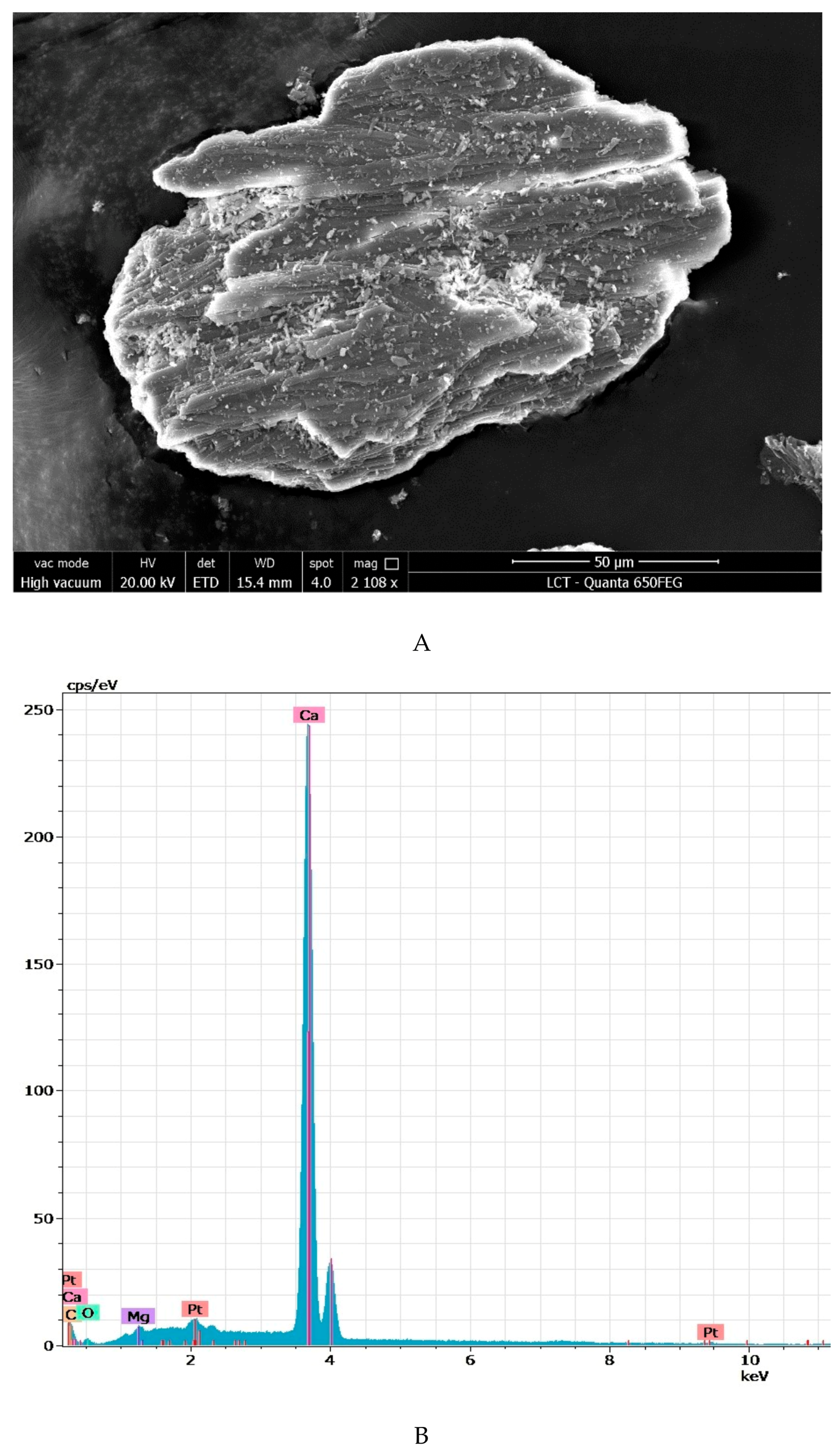 Solids 02 00013 g005 Solids 02 00013 g005