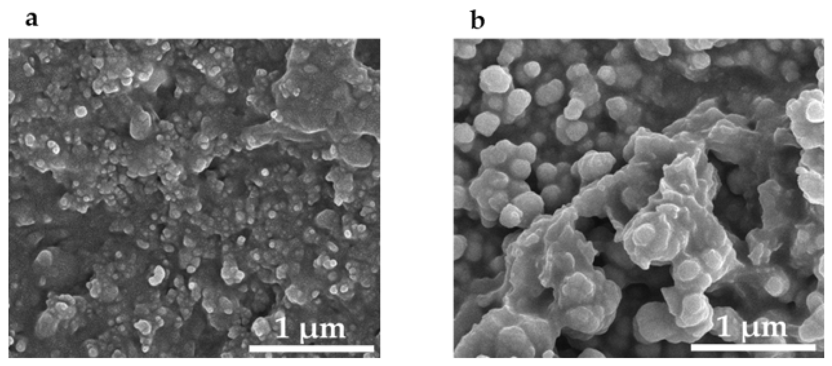 Solids 03 00013 g006