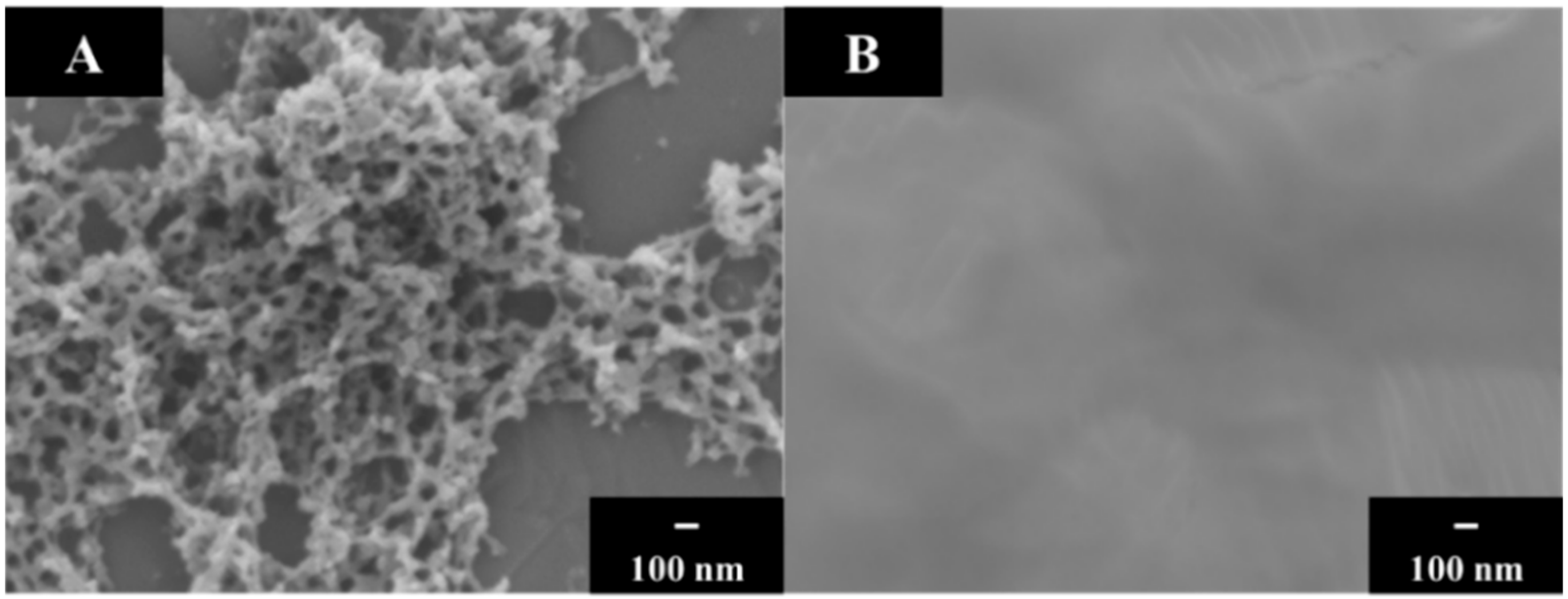 Solids 03 00019 g001