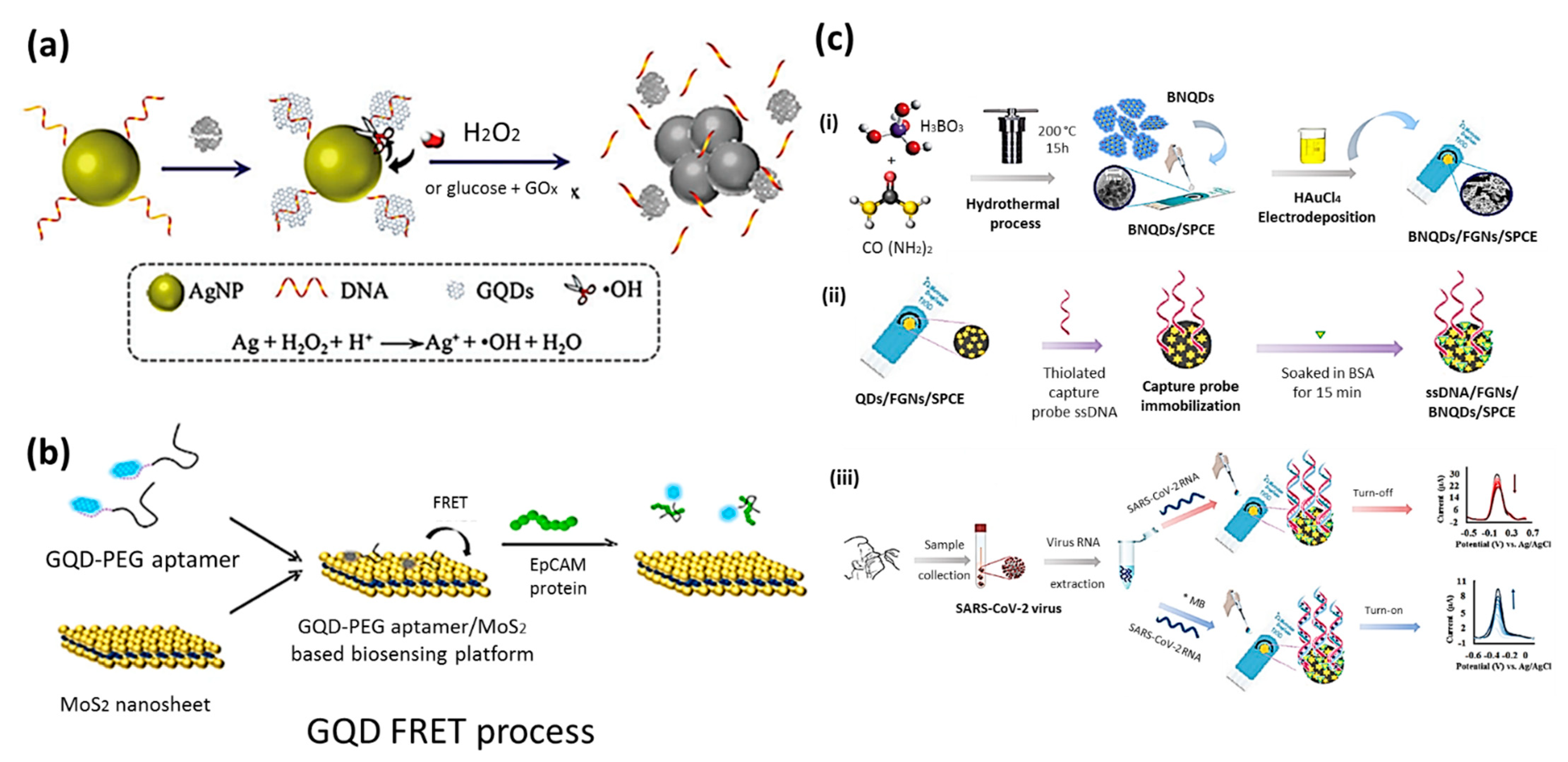 Solids 03 00037 g008