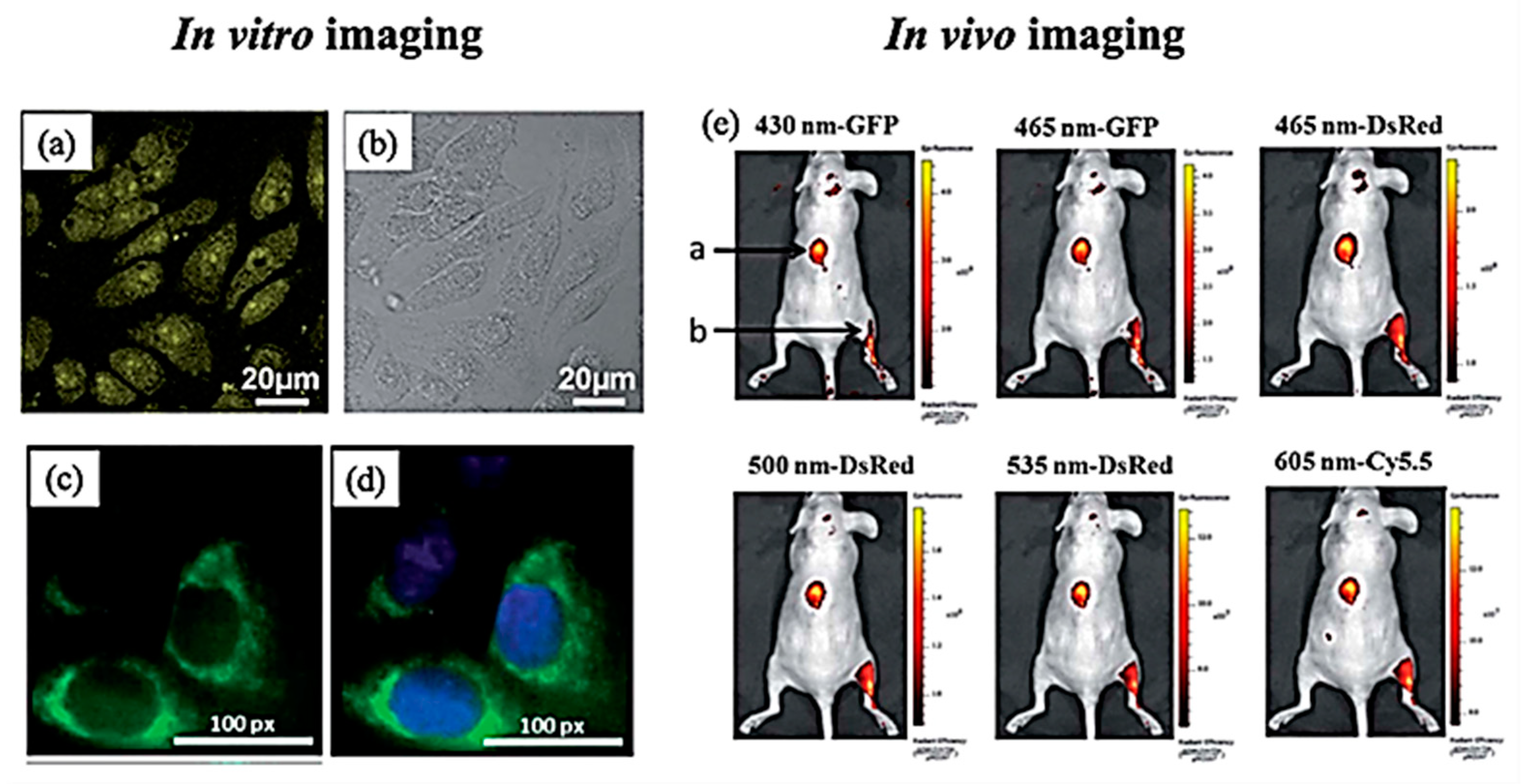 Solids 03 00037 g009