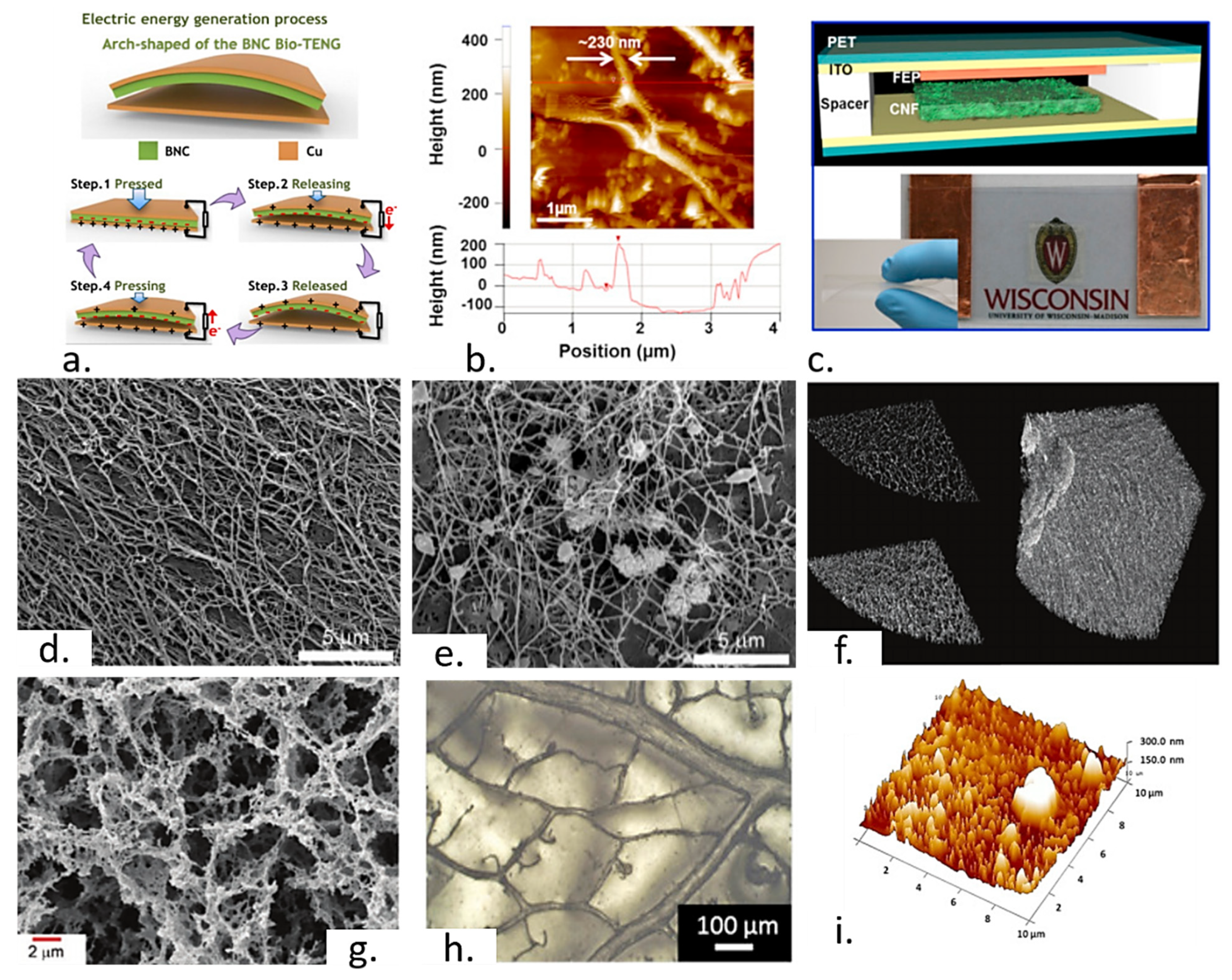 Solids 04 00009 g004