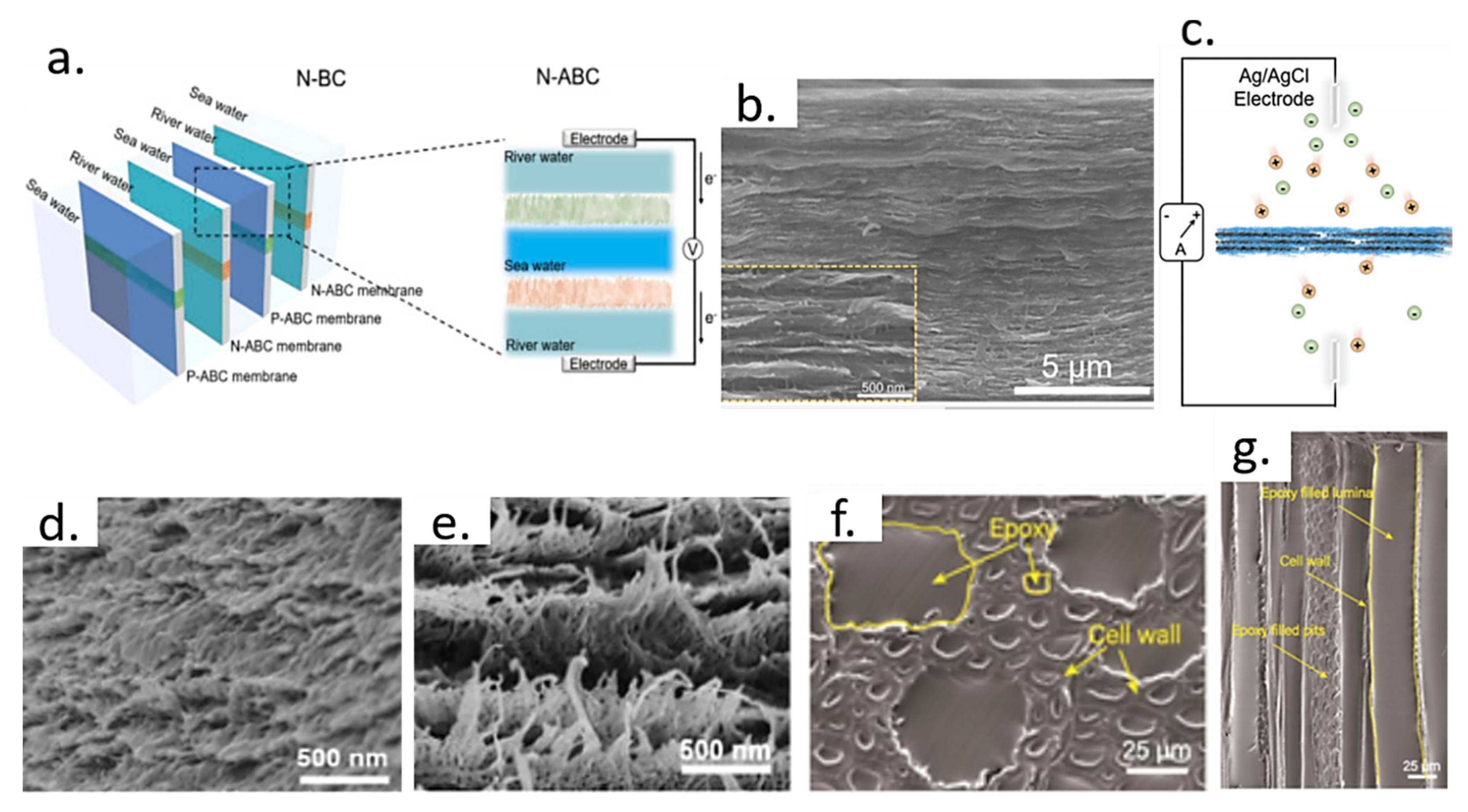 Solids 04 00009 g005
