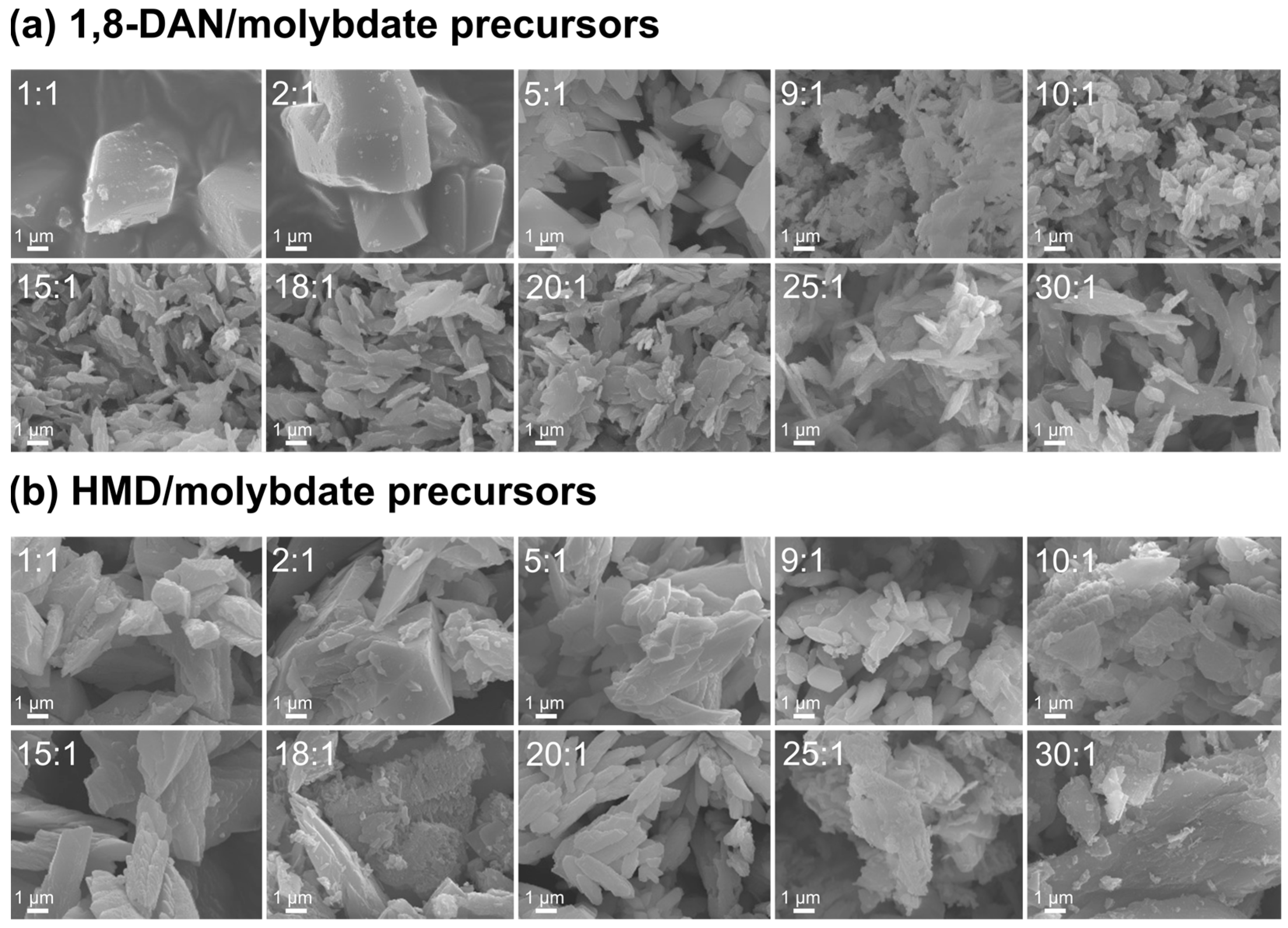 Solids 05 00030 g005