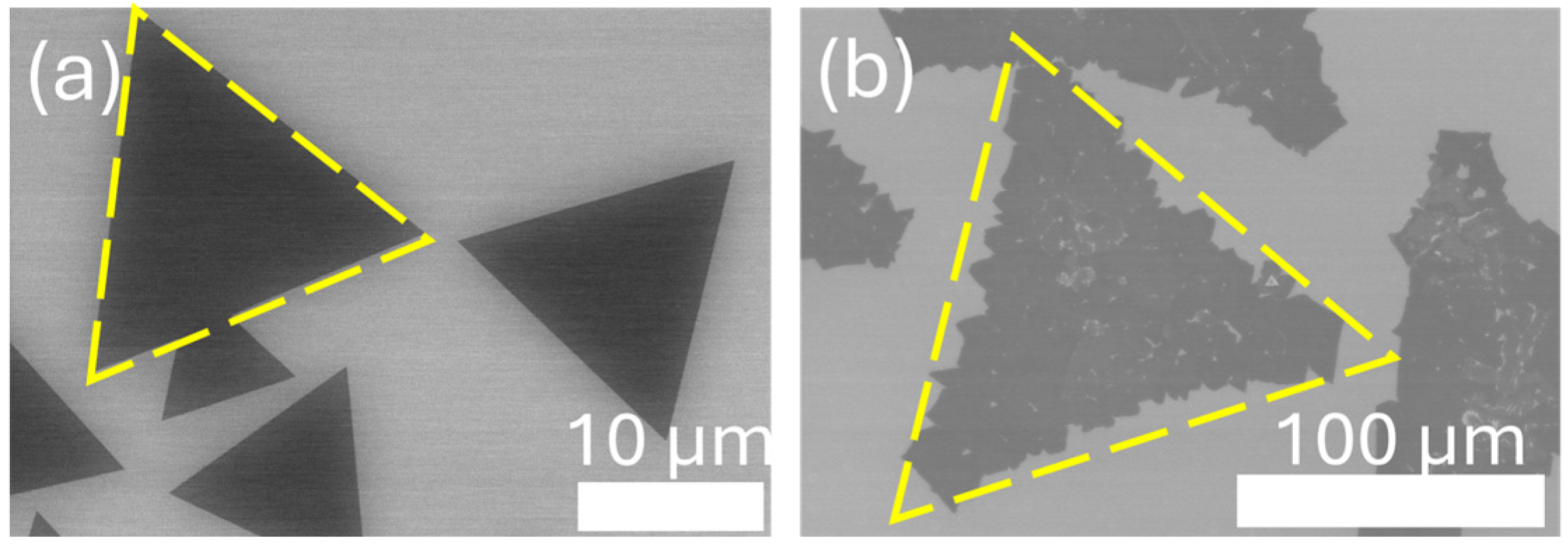 Solids 05 00034 g006
