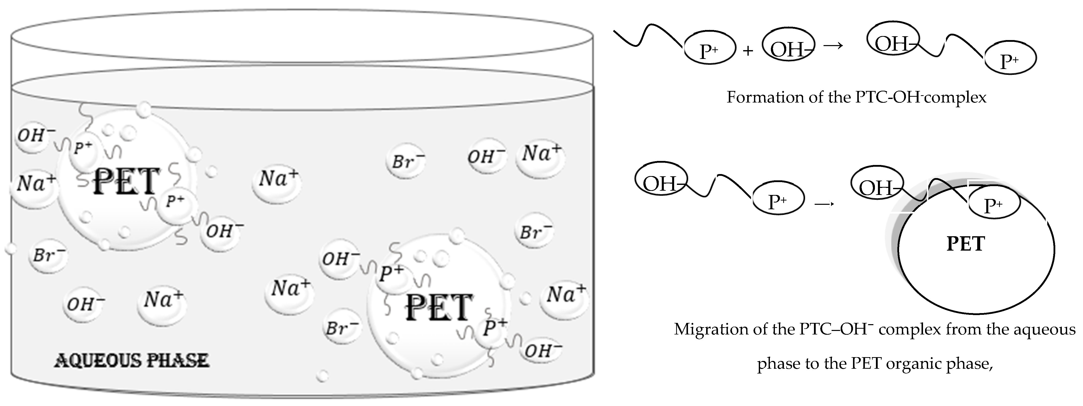 Solids 06 00010 g003
