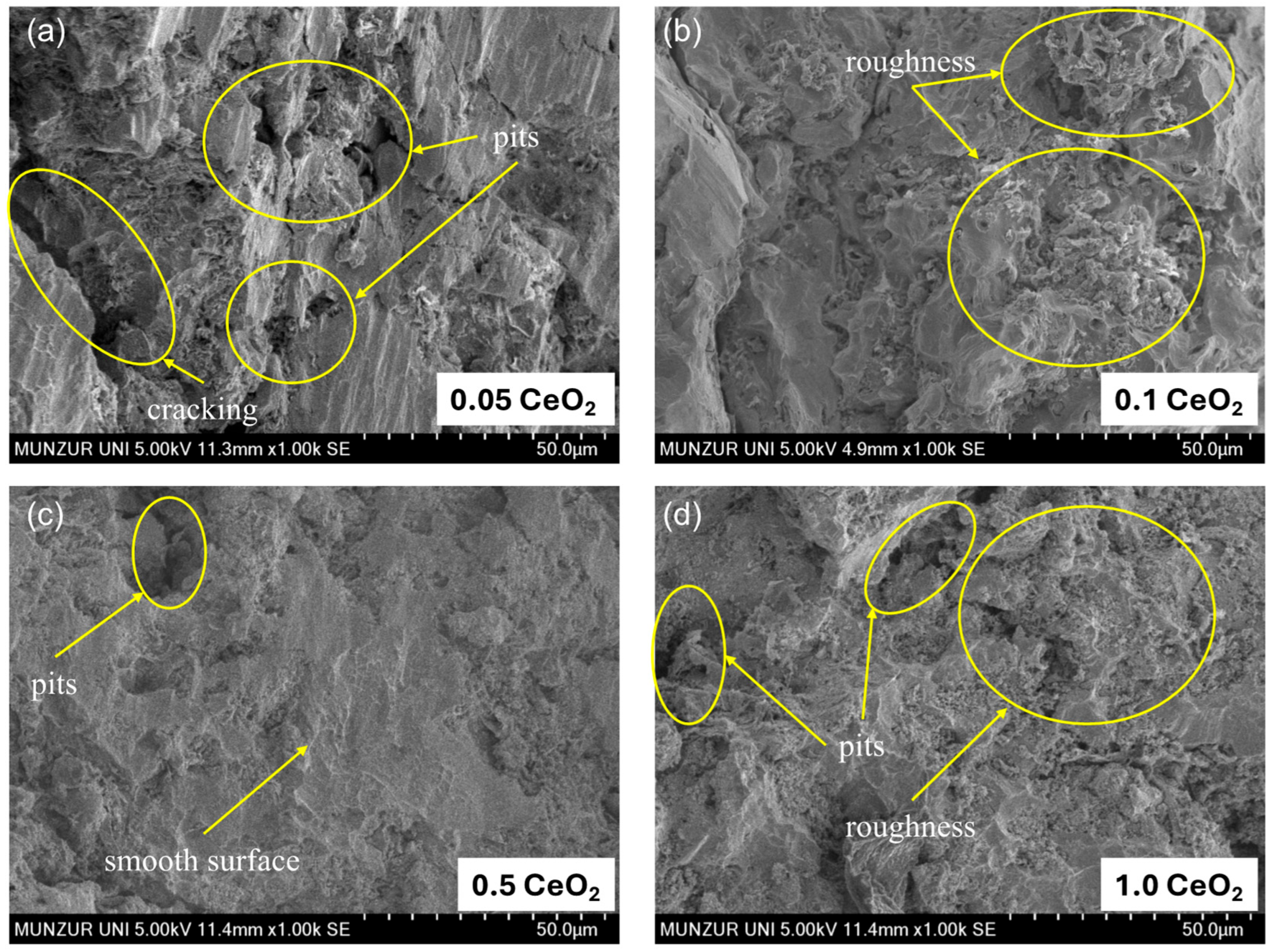 Solids 06 00043 g007