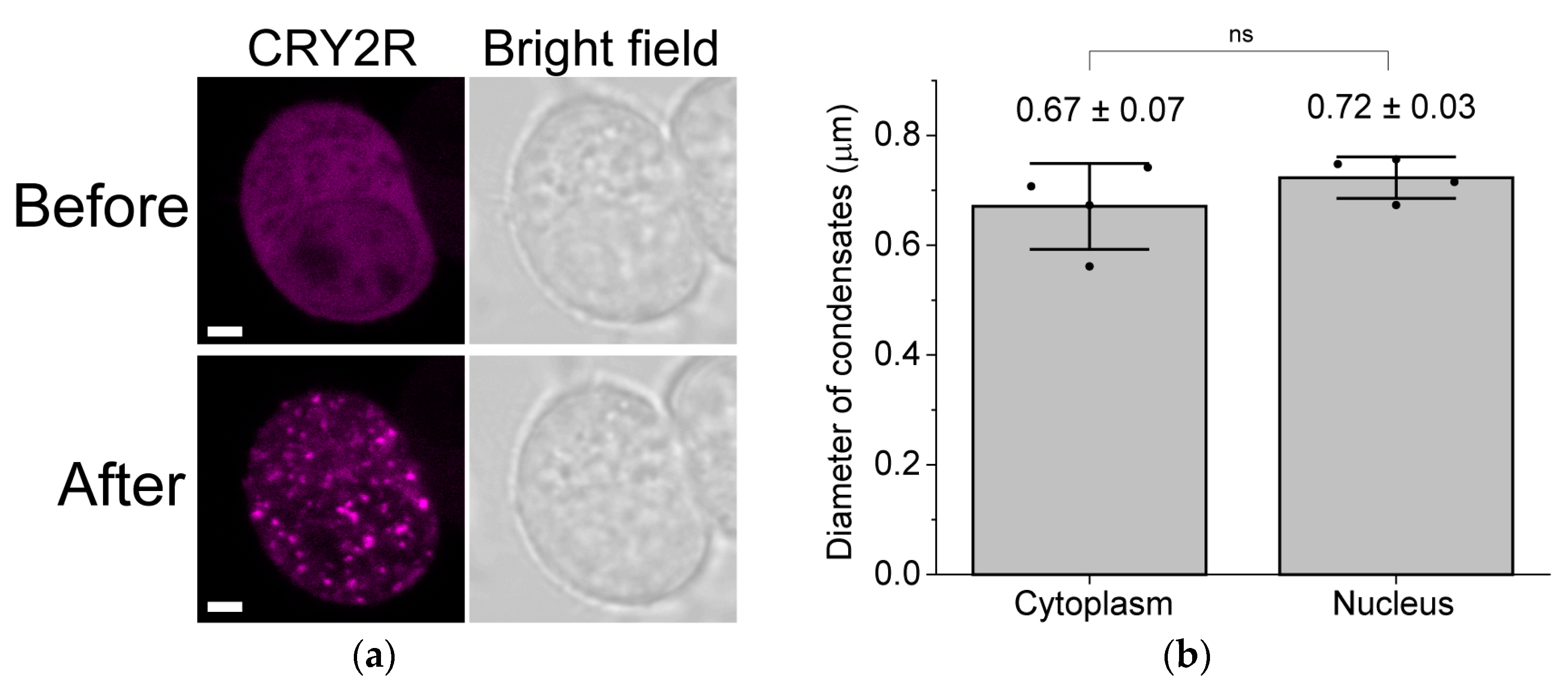 Spectroscj 01 00006 g001