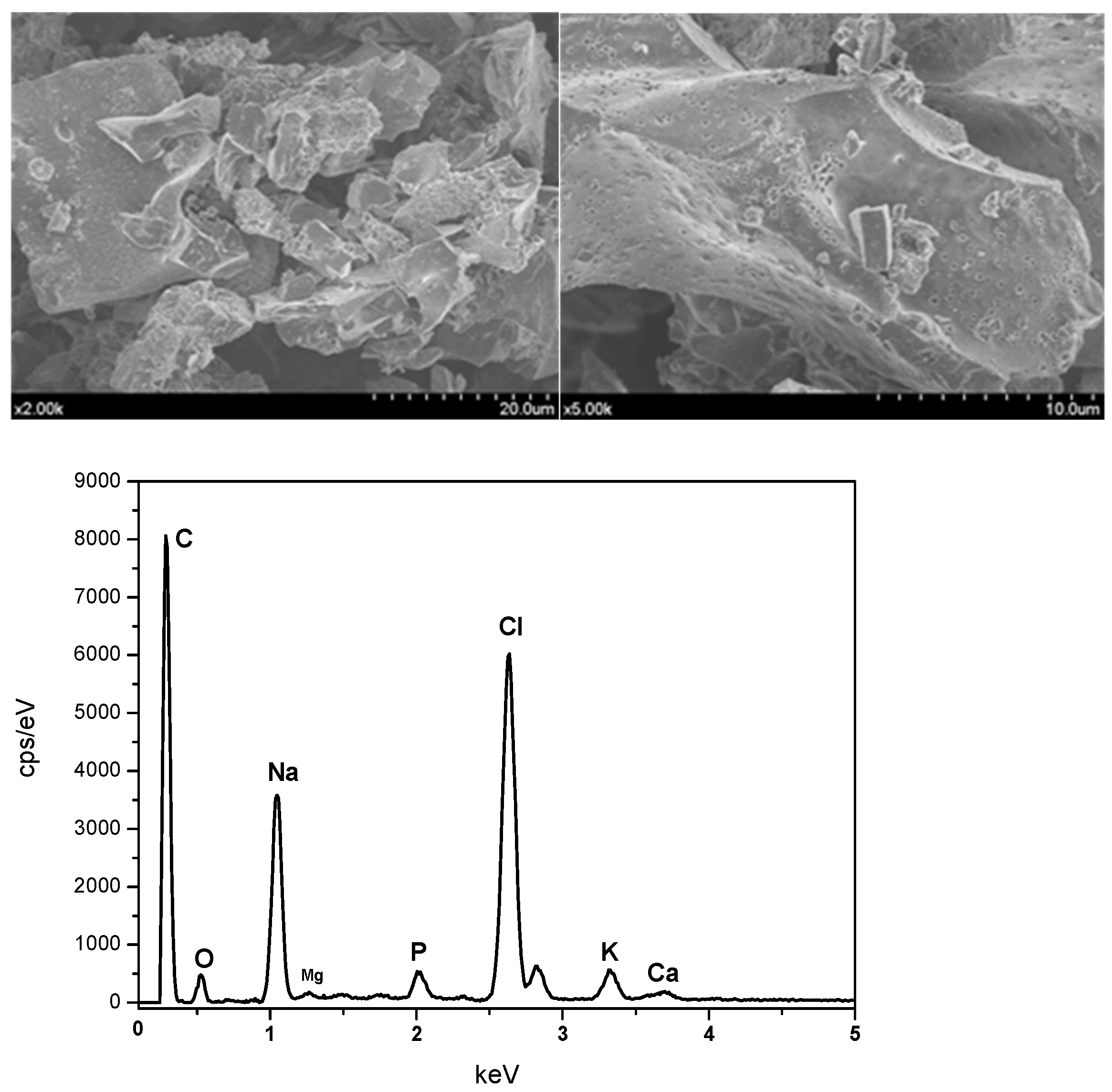 Spectroscj 01 00009 g004