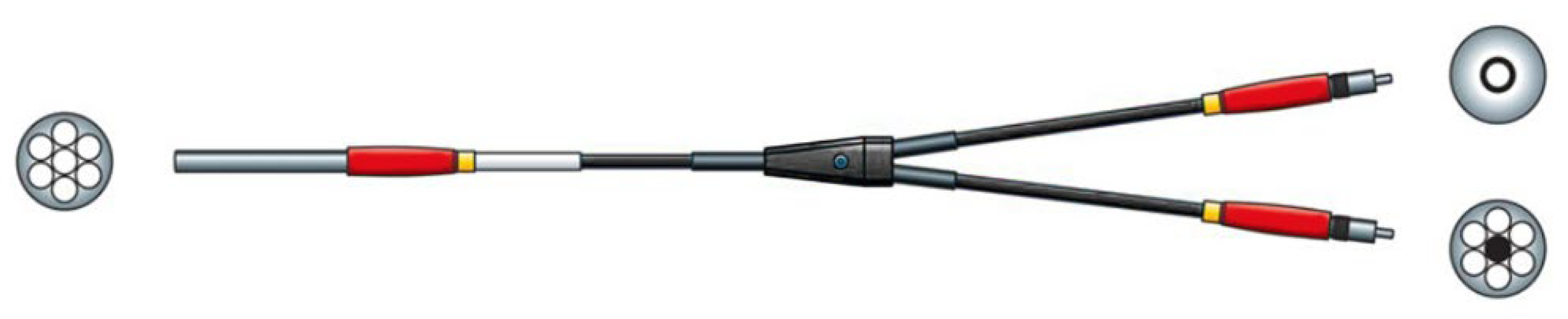 Spectroscj 01 00013 g002