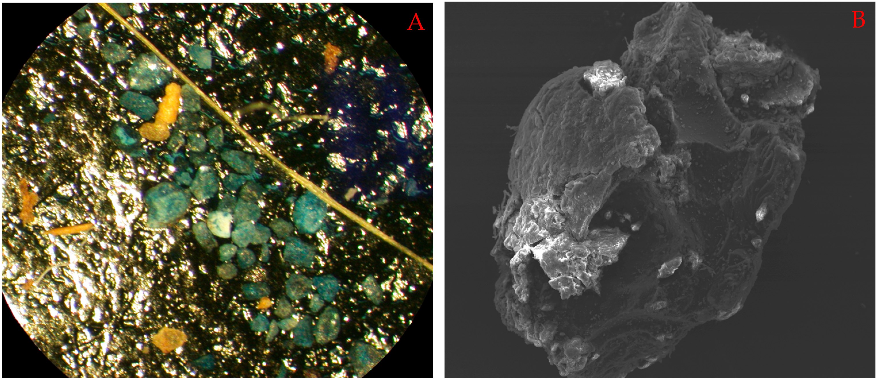 Spectroscj 02 00011 g004