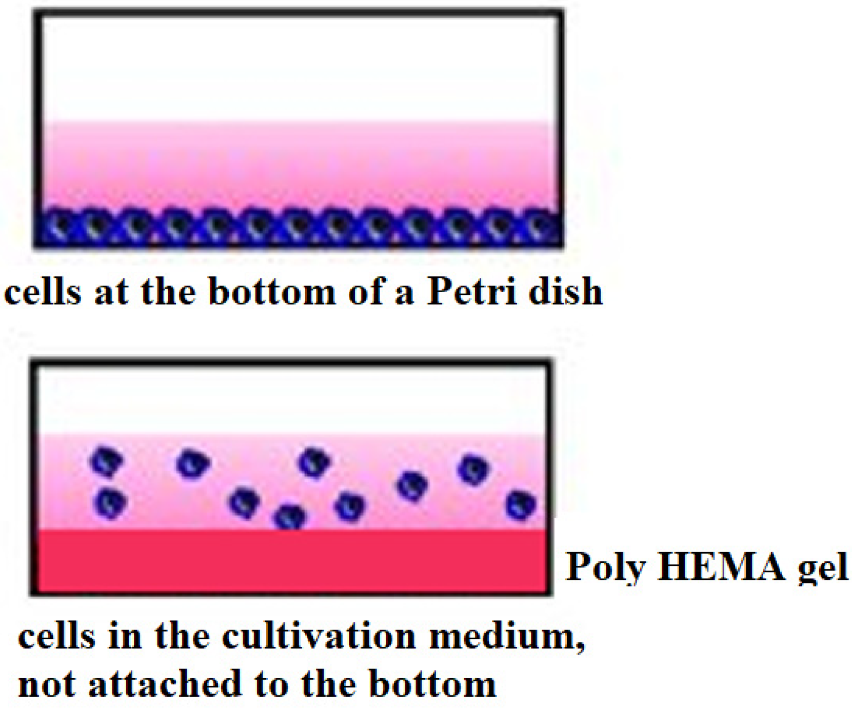 Spectroscj 02 00018 g001