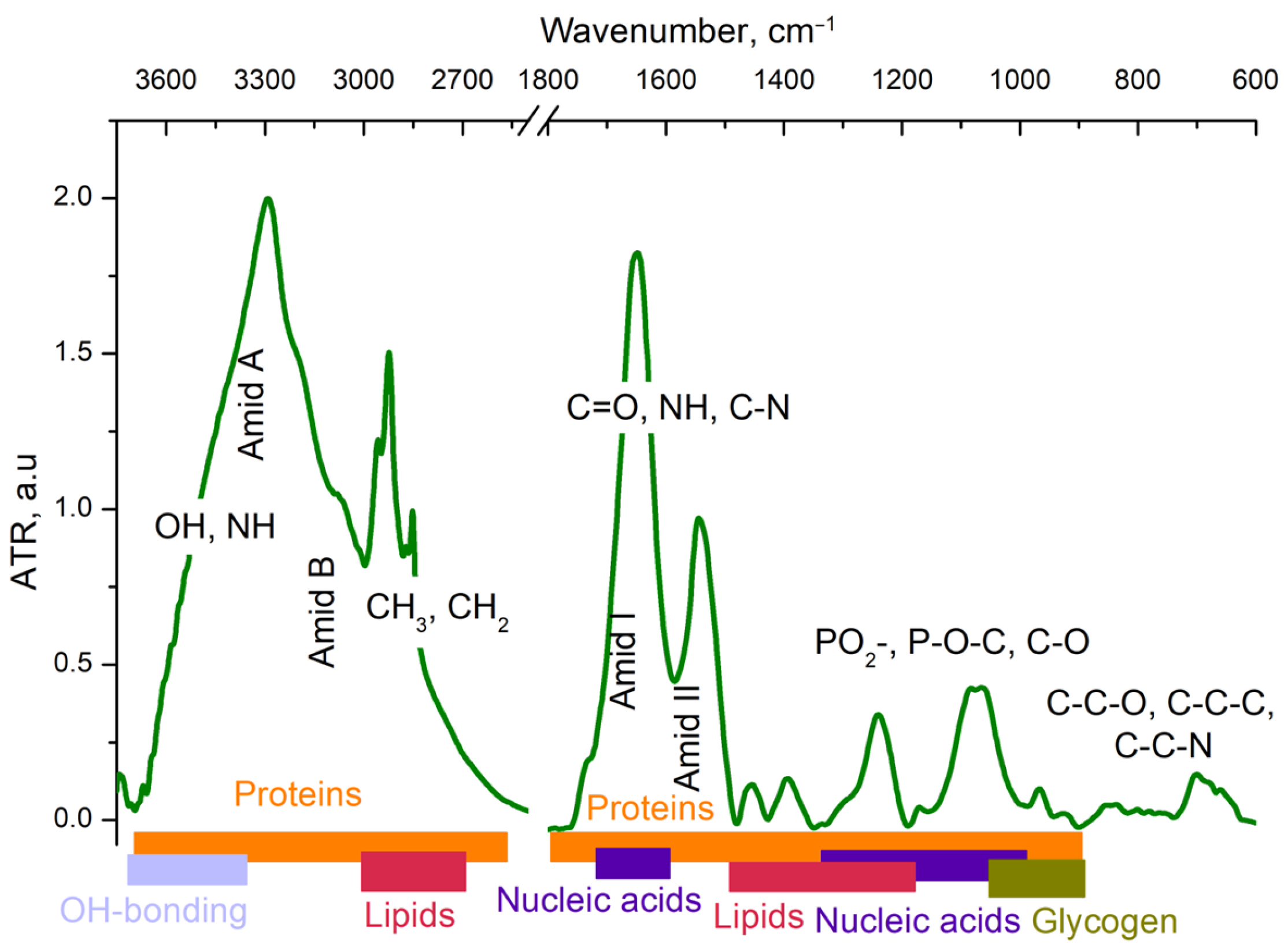 Spectroscj 02 00018 g002