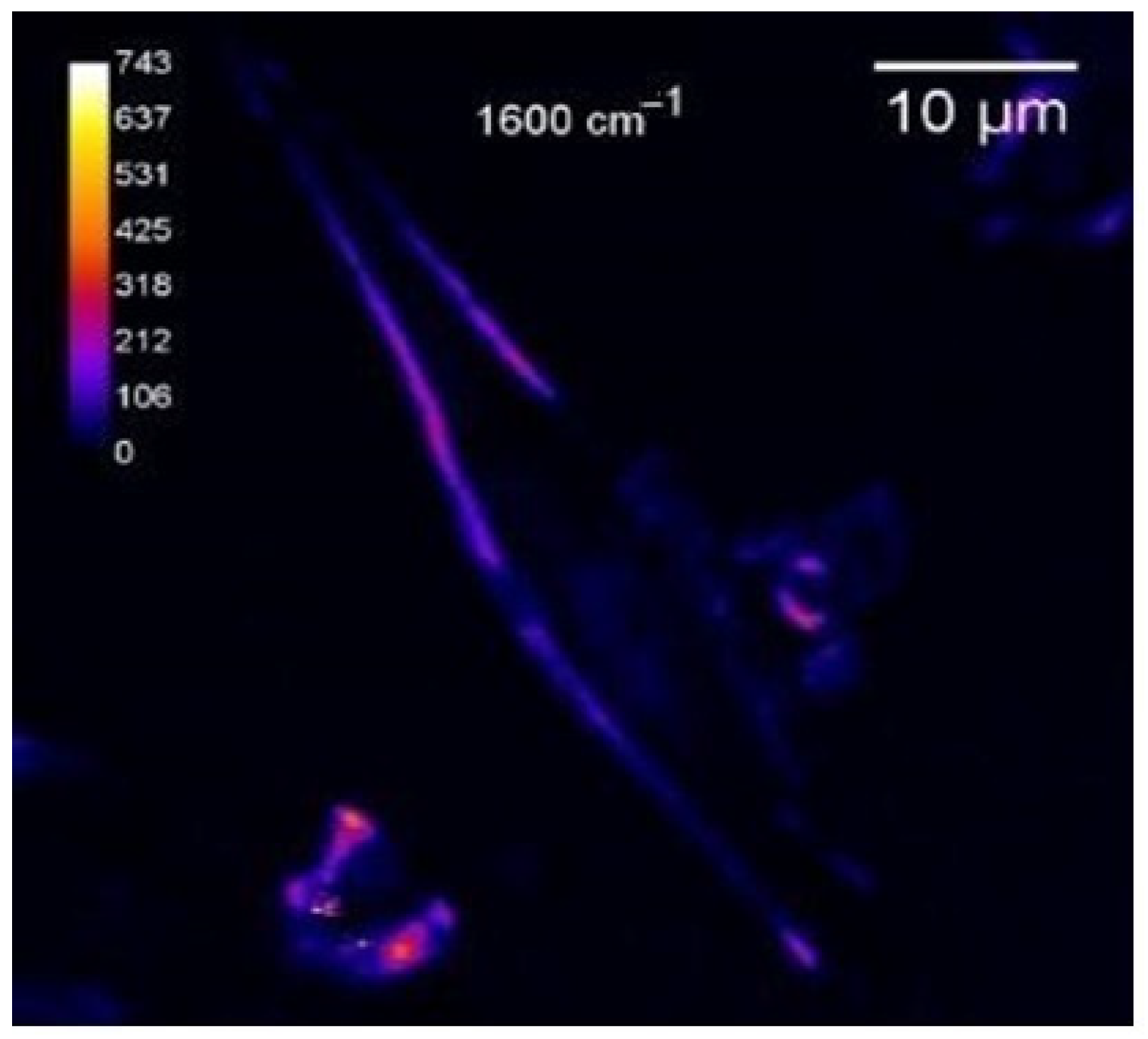 Spectroscj 02 00018 g007