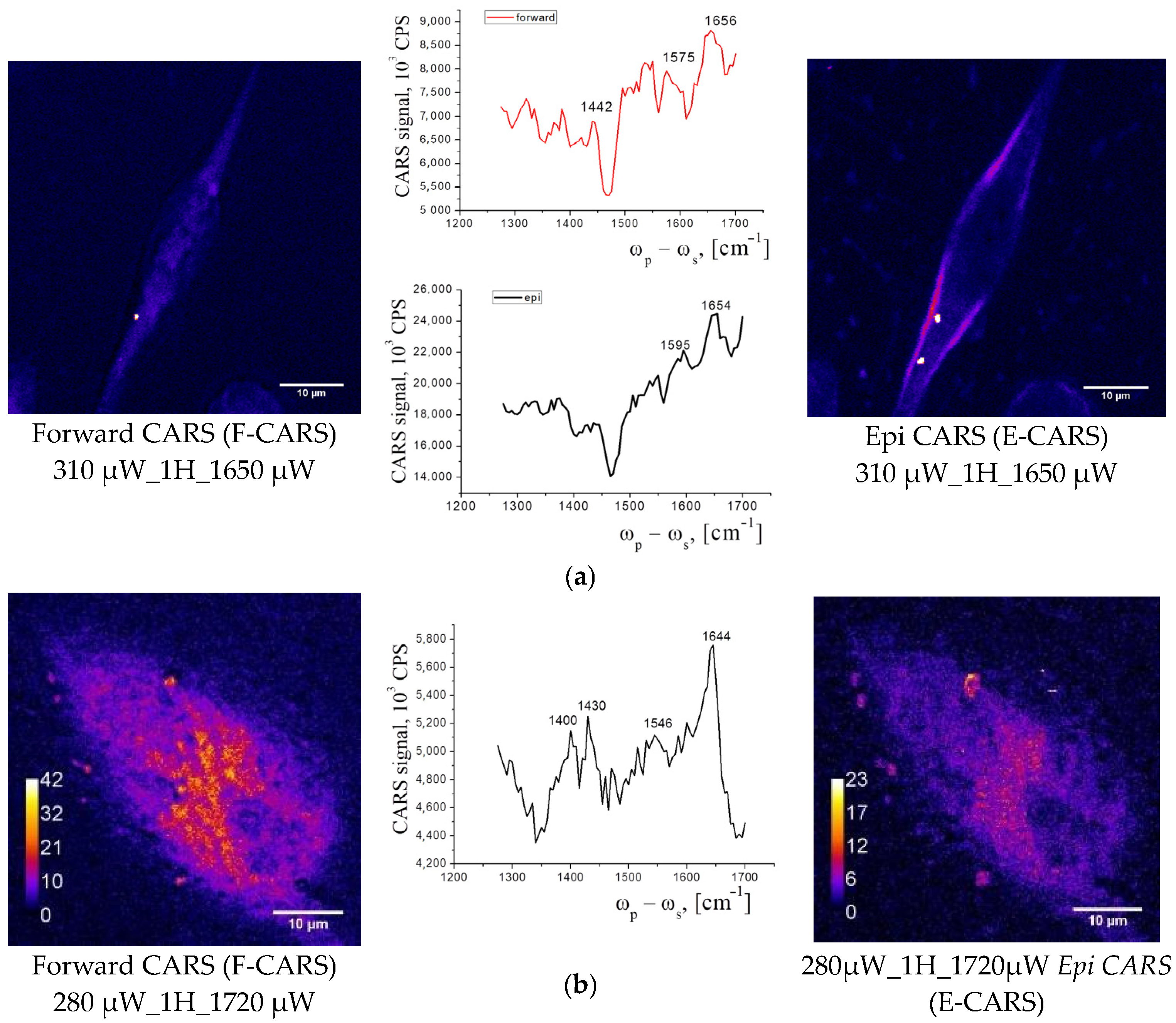 Spectroscj 02 00018 g008