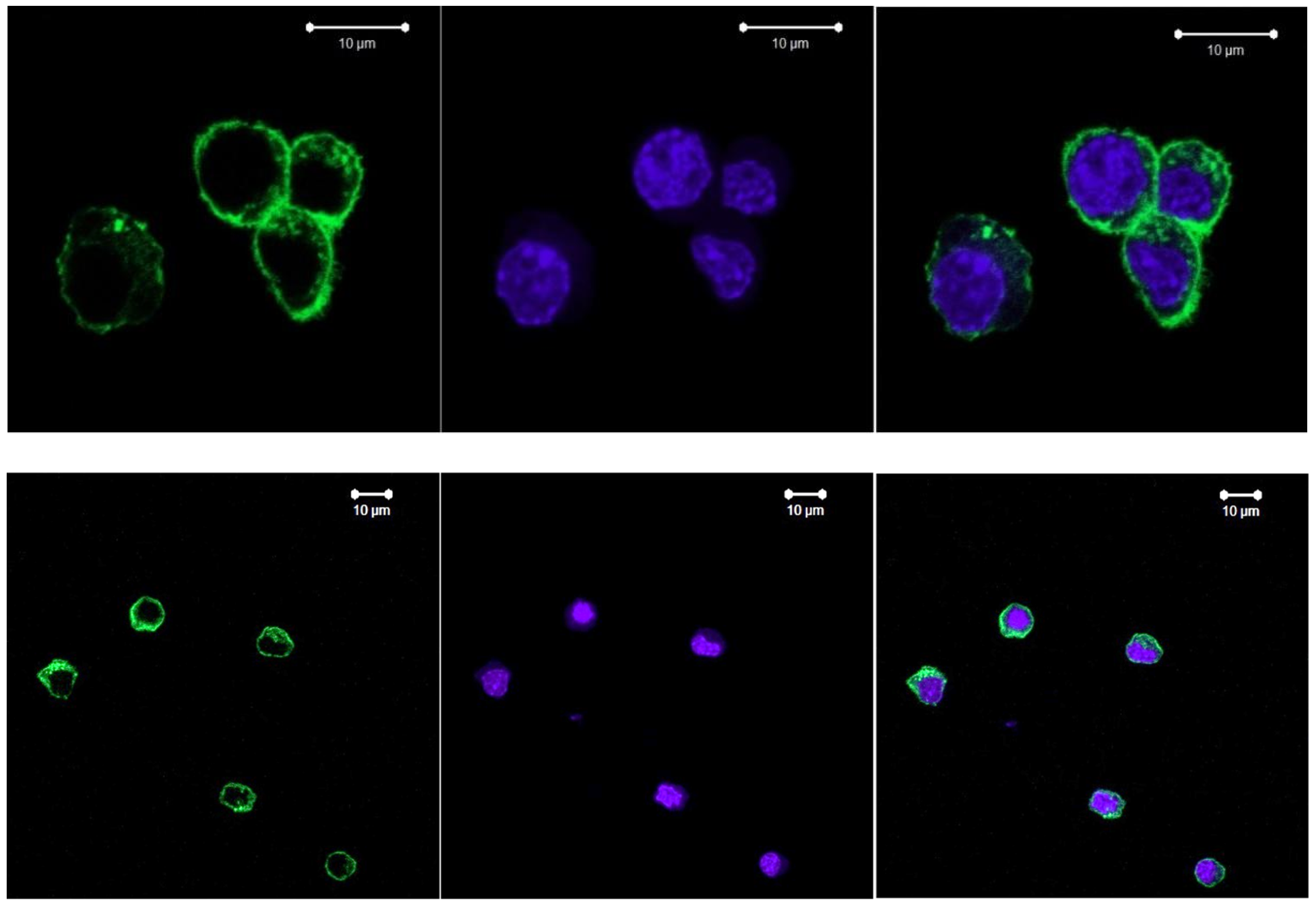 Spectroscj 02 00018 g011