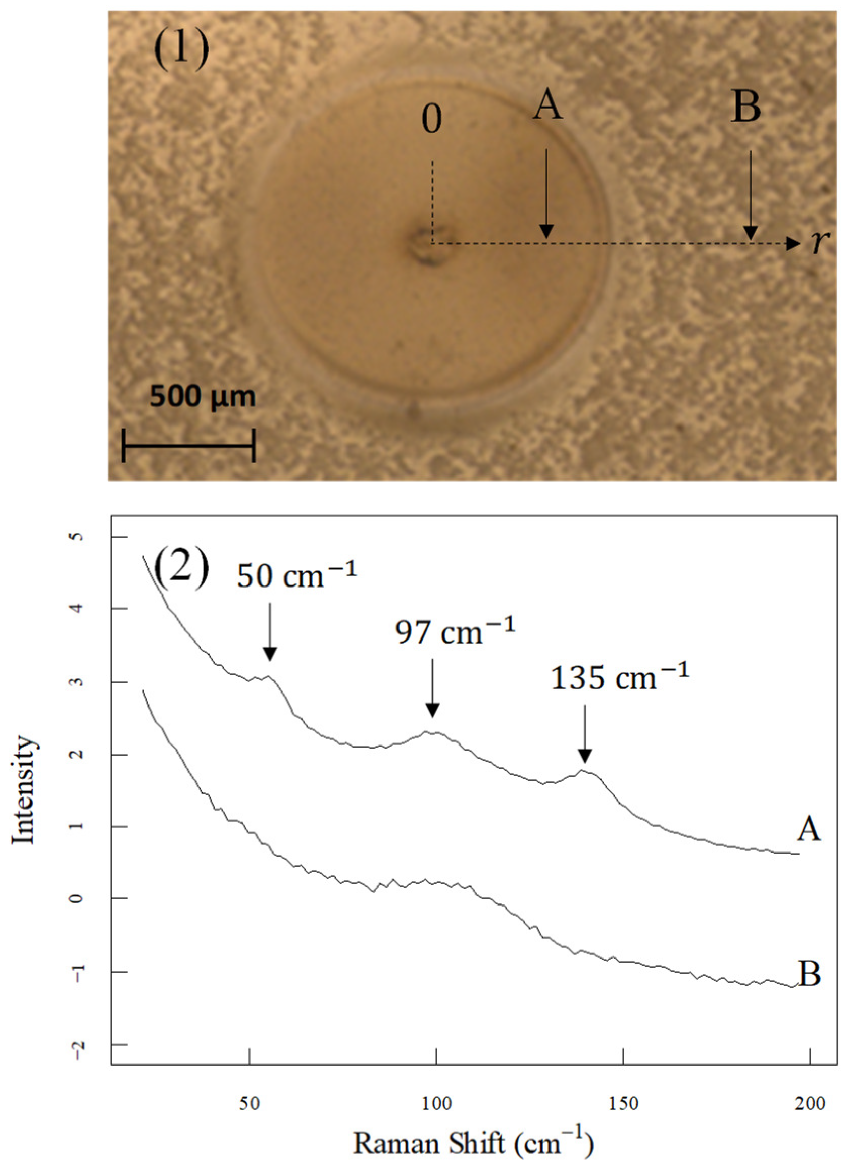 Spectroscj 02 00021 g003