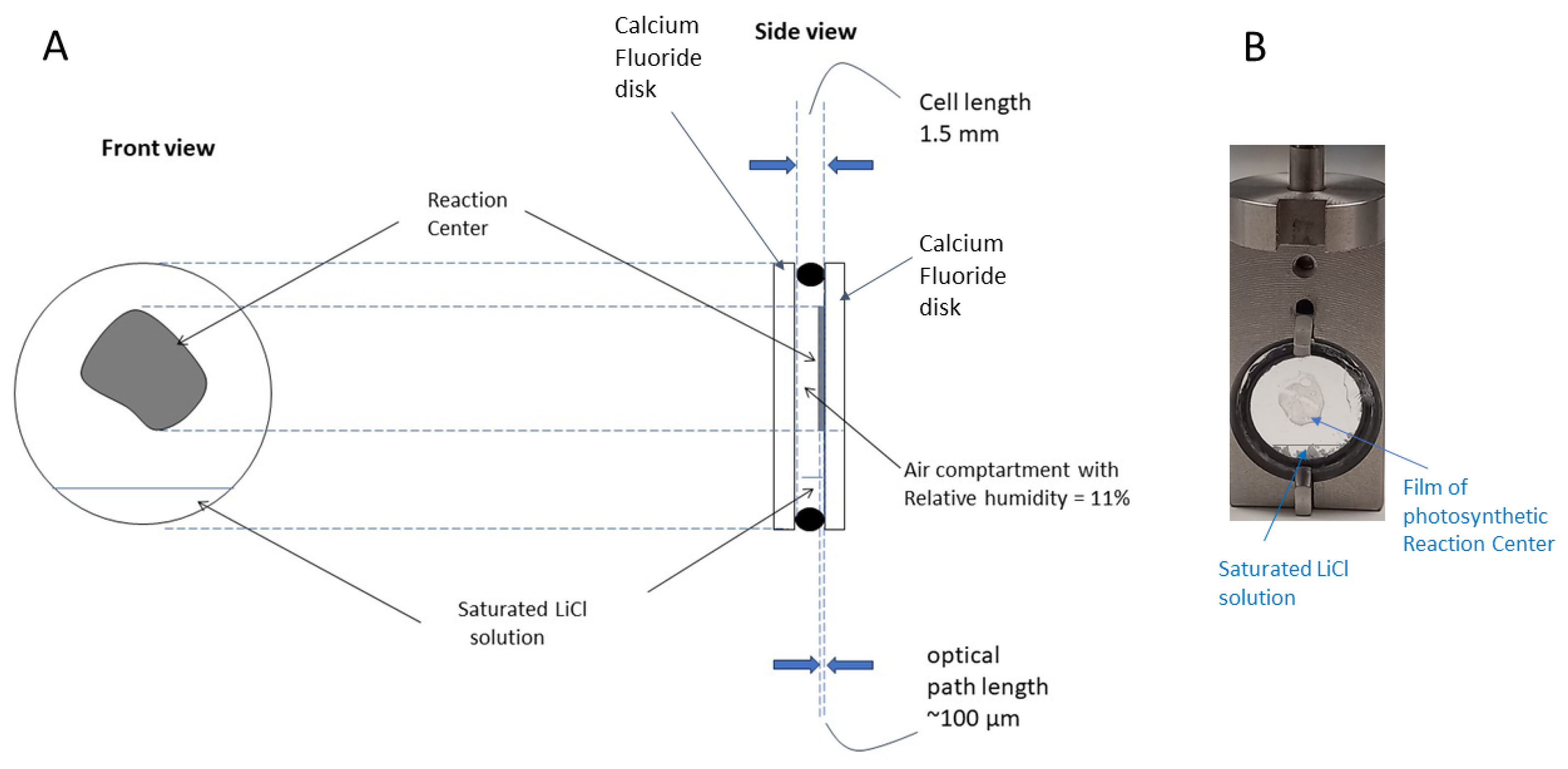 Spectroscj 03 00005 g002